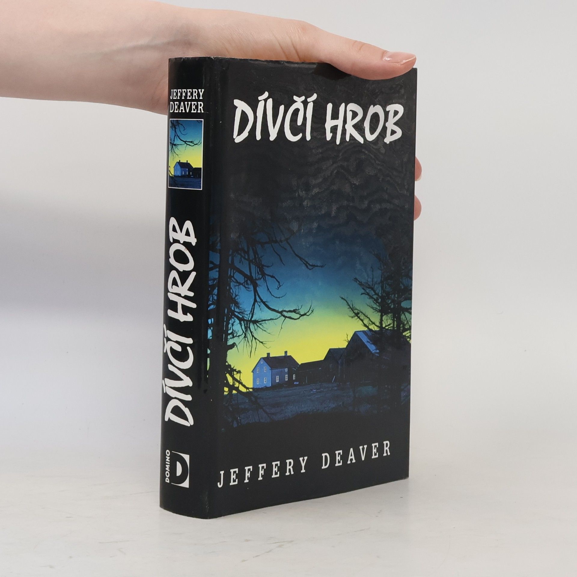 Jeffery Deaver Dívčí hrob