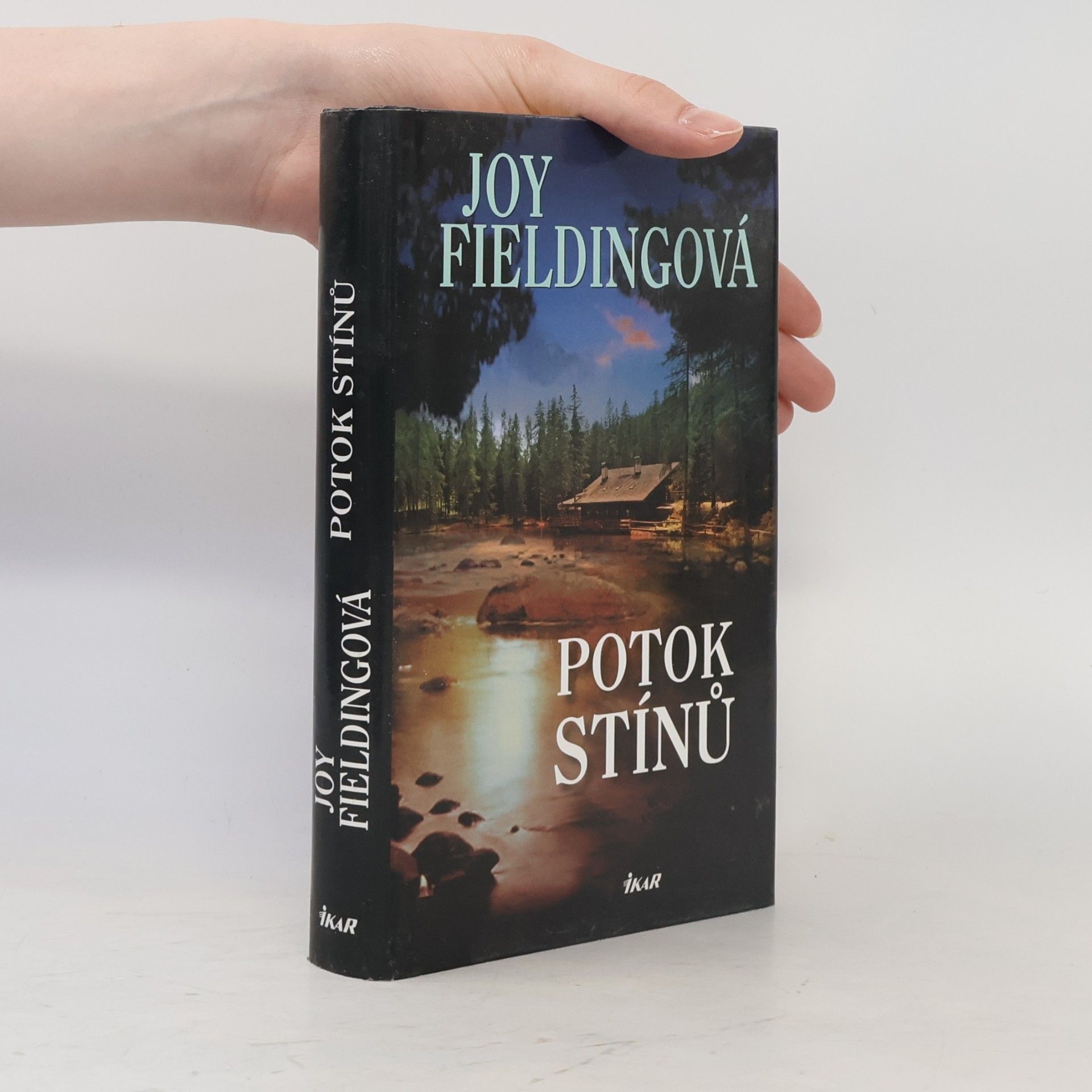 Joy Fielding Potok stínů