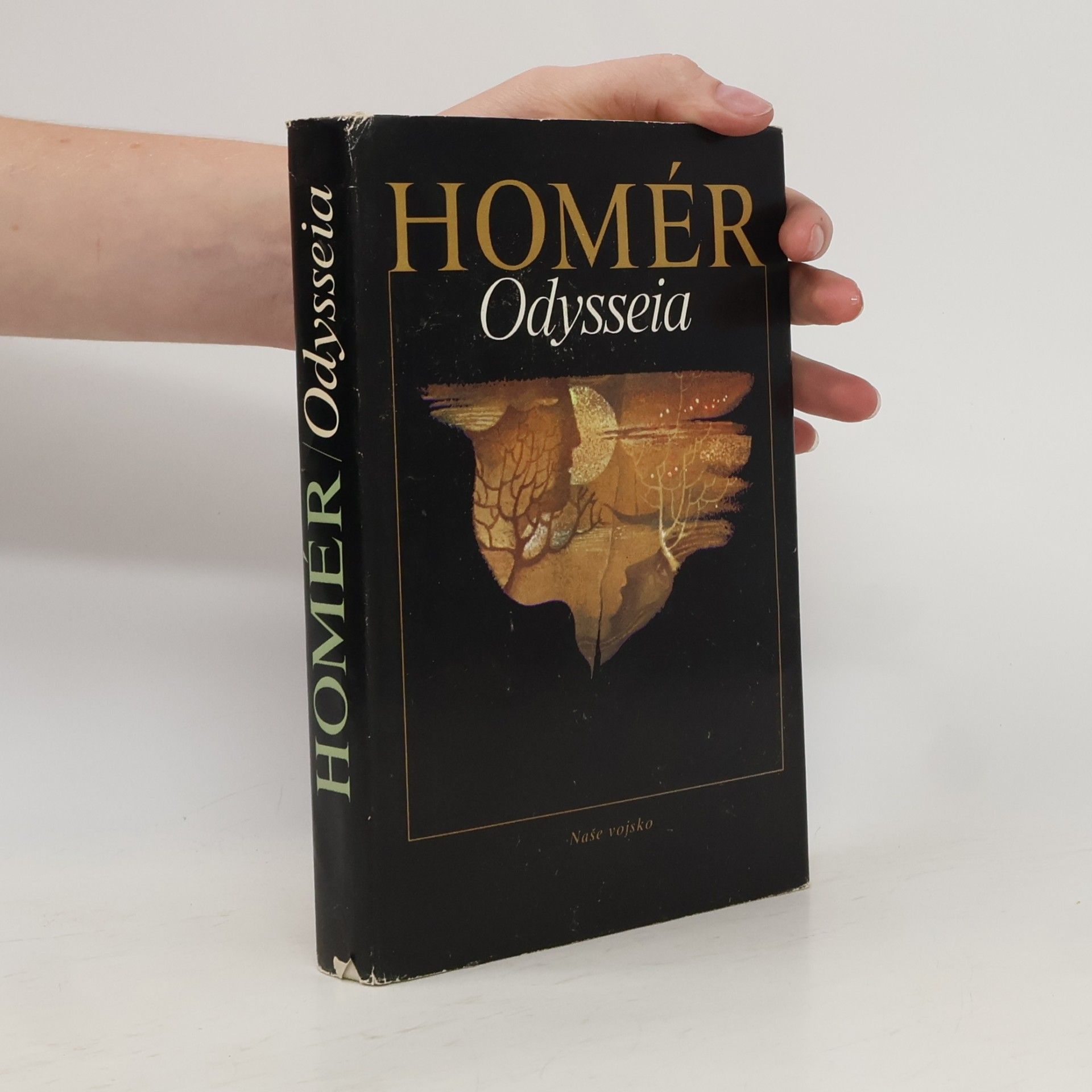 Homér Odysseia