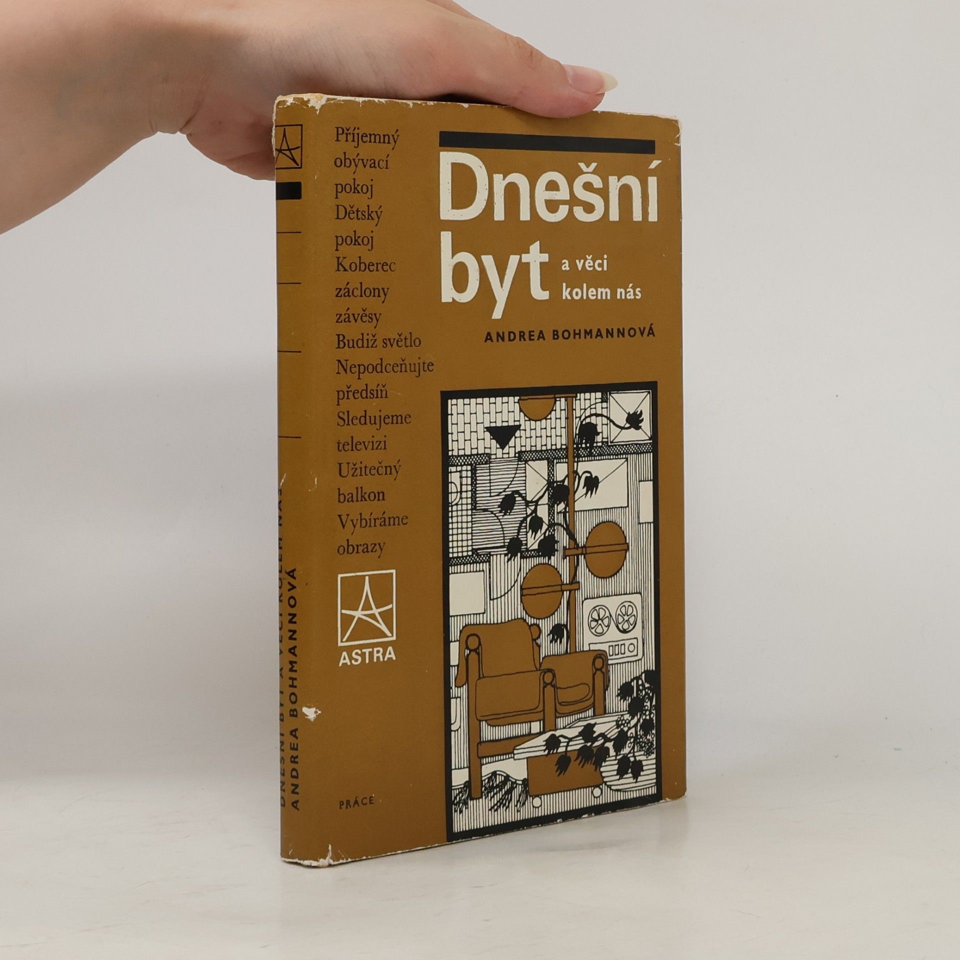 Andrea Bohmannová Dnešní byt a věci kolem nás