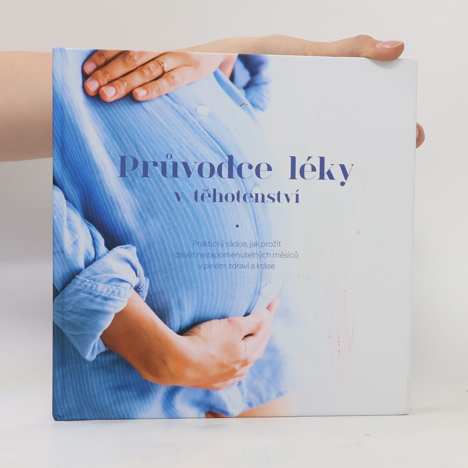 Various authors Průvodce léky v těhotenství
