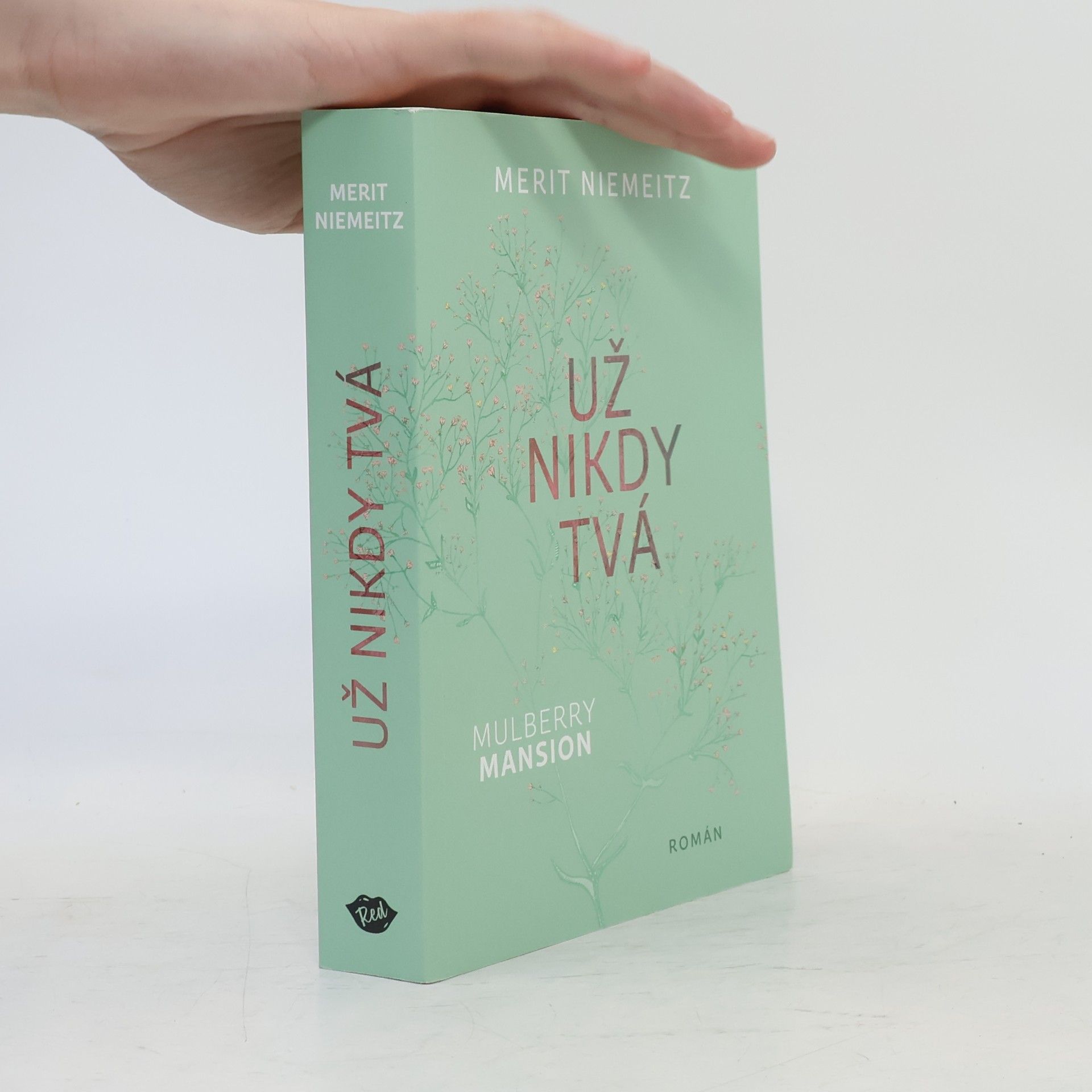 Merit Niemeitz Už nikdy tvá