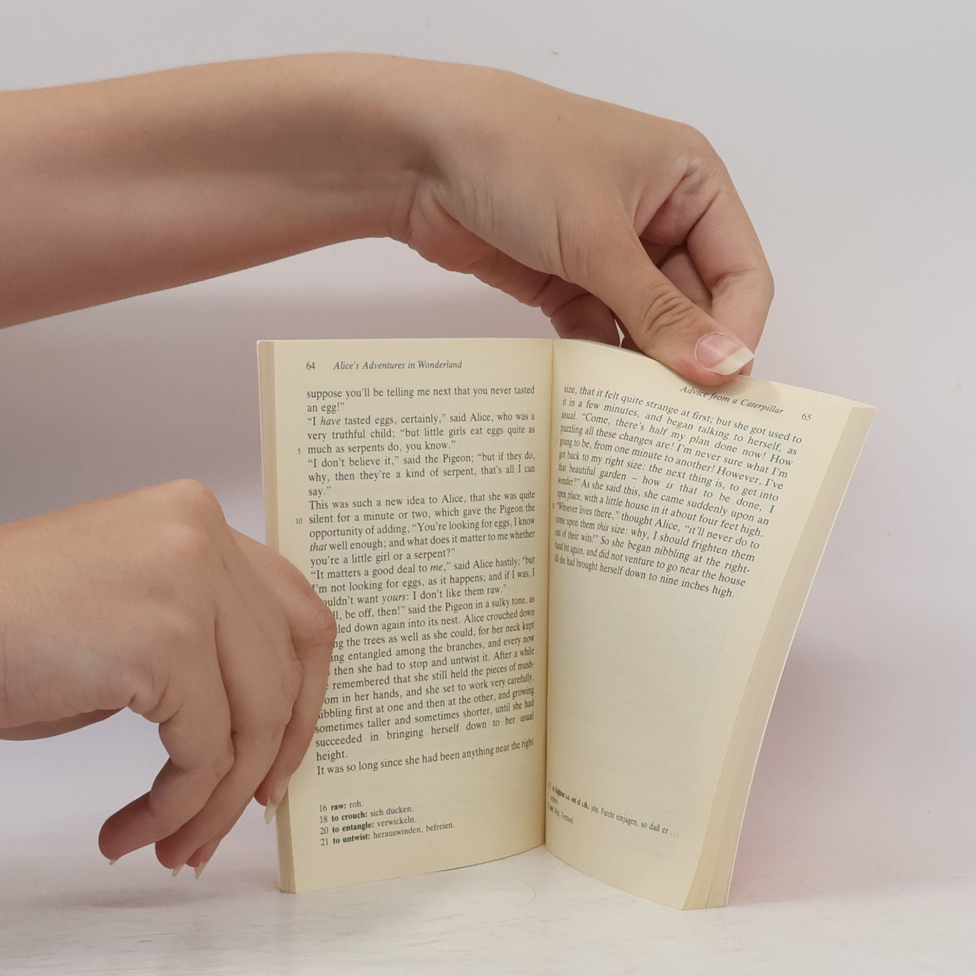 Lewis Carroll Alice's adventures in wonderland