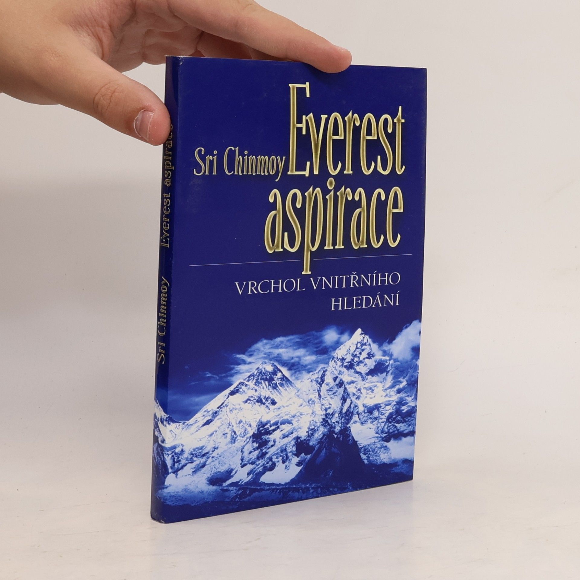 Everest aspirace: vrchol vnitřního hledání