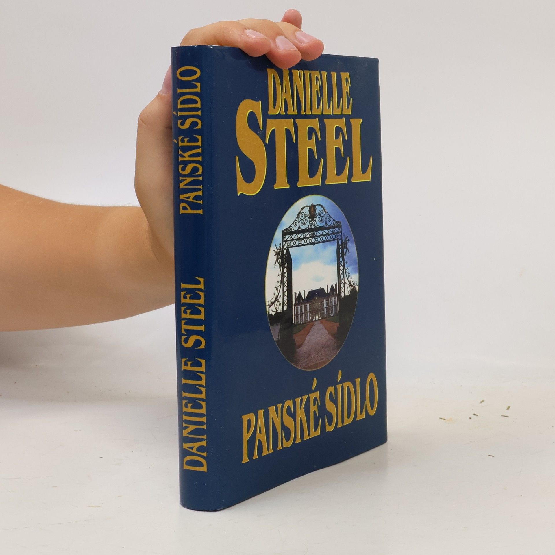 Danielle Steel Panské sídlo
