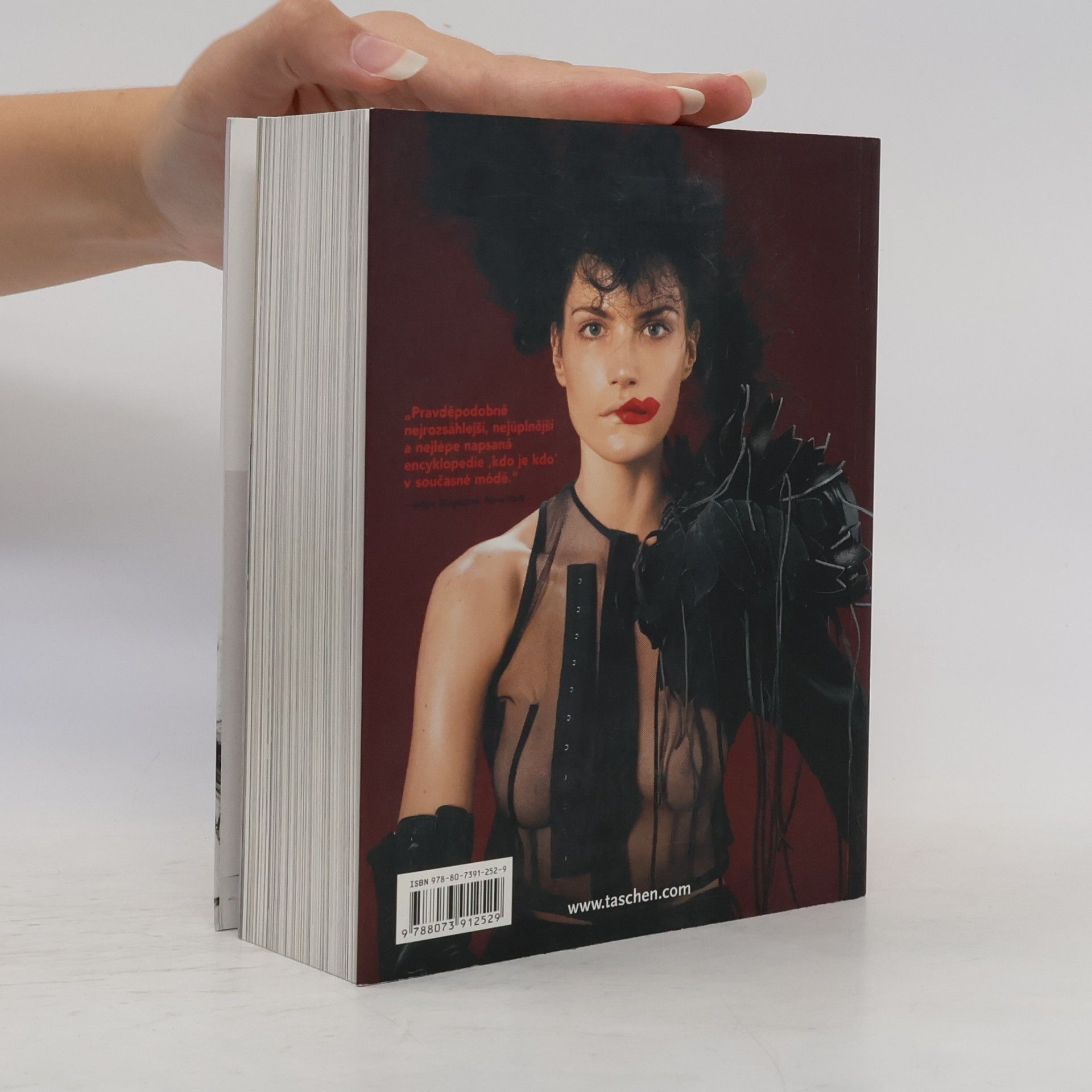 Terry Jones Fashion now 2
