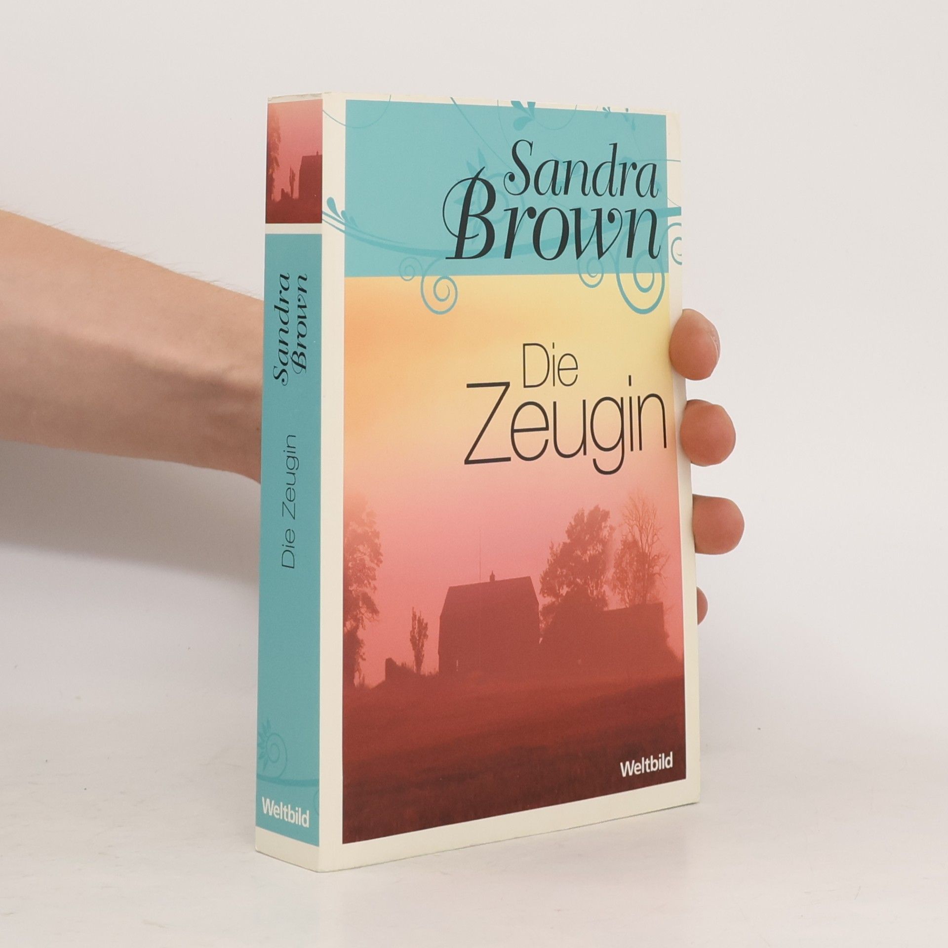 Sandra Brown Die Zeugin