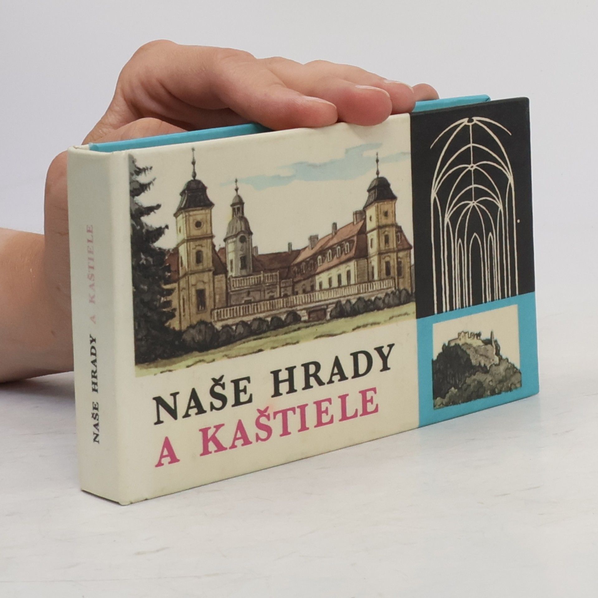 Štefan Pisoň Naše hrady a kaštiele