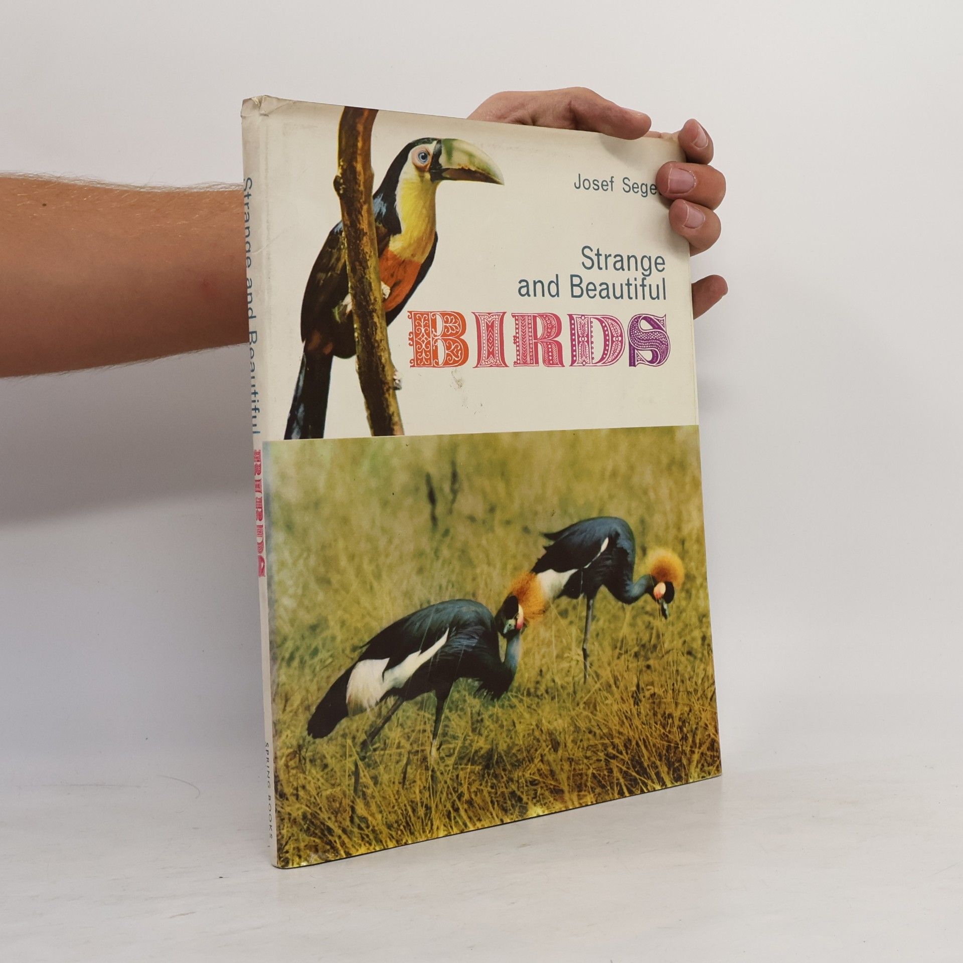 Seget Josef Strange and Beautiful Birds