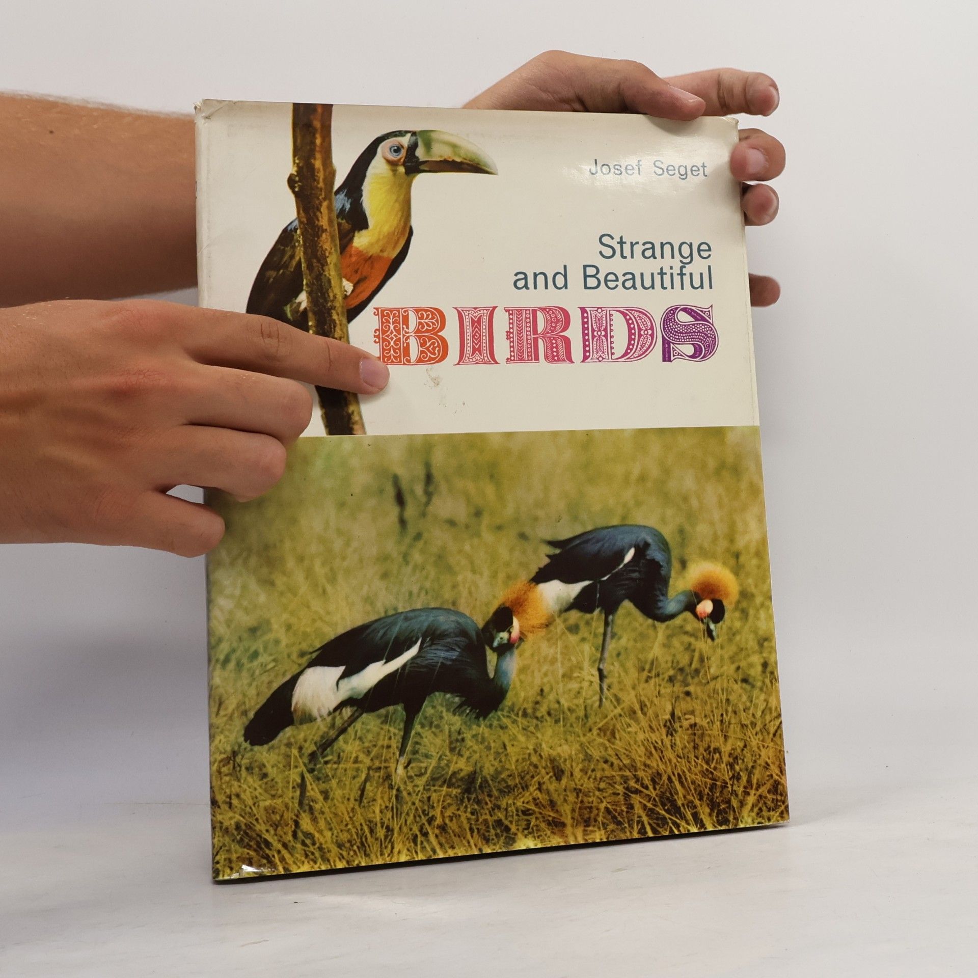 Seget Josef Strange and Beautiful Birds