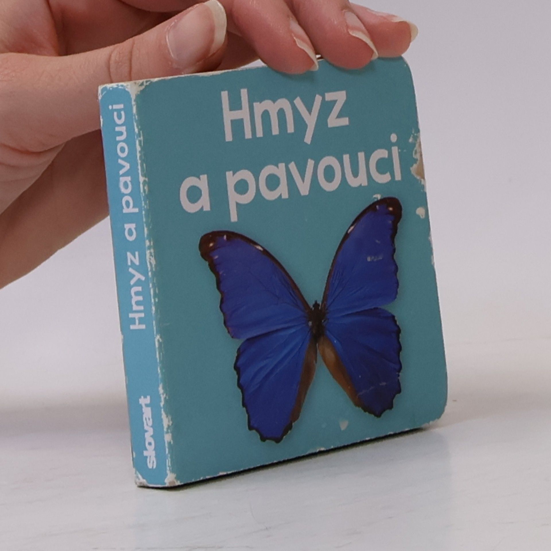 Kolektiv autorů Hmyz a pavouci