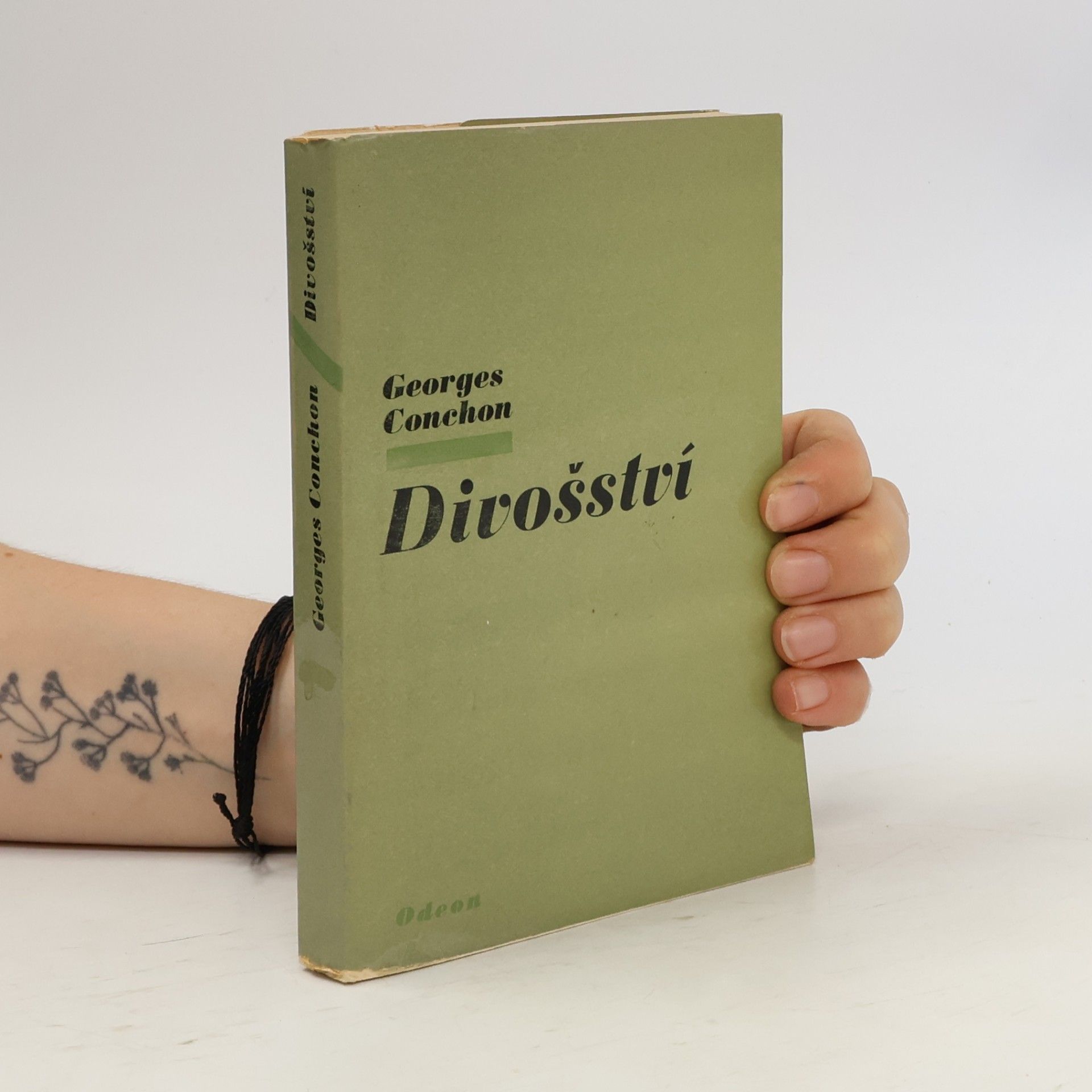 Divošství