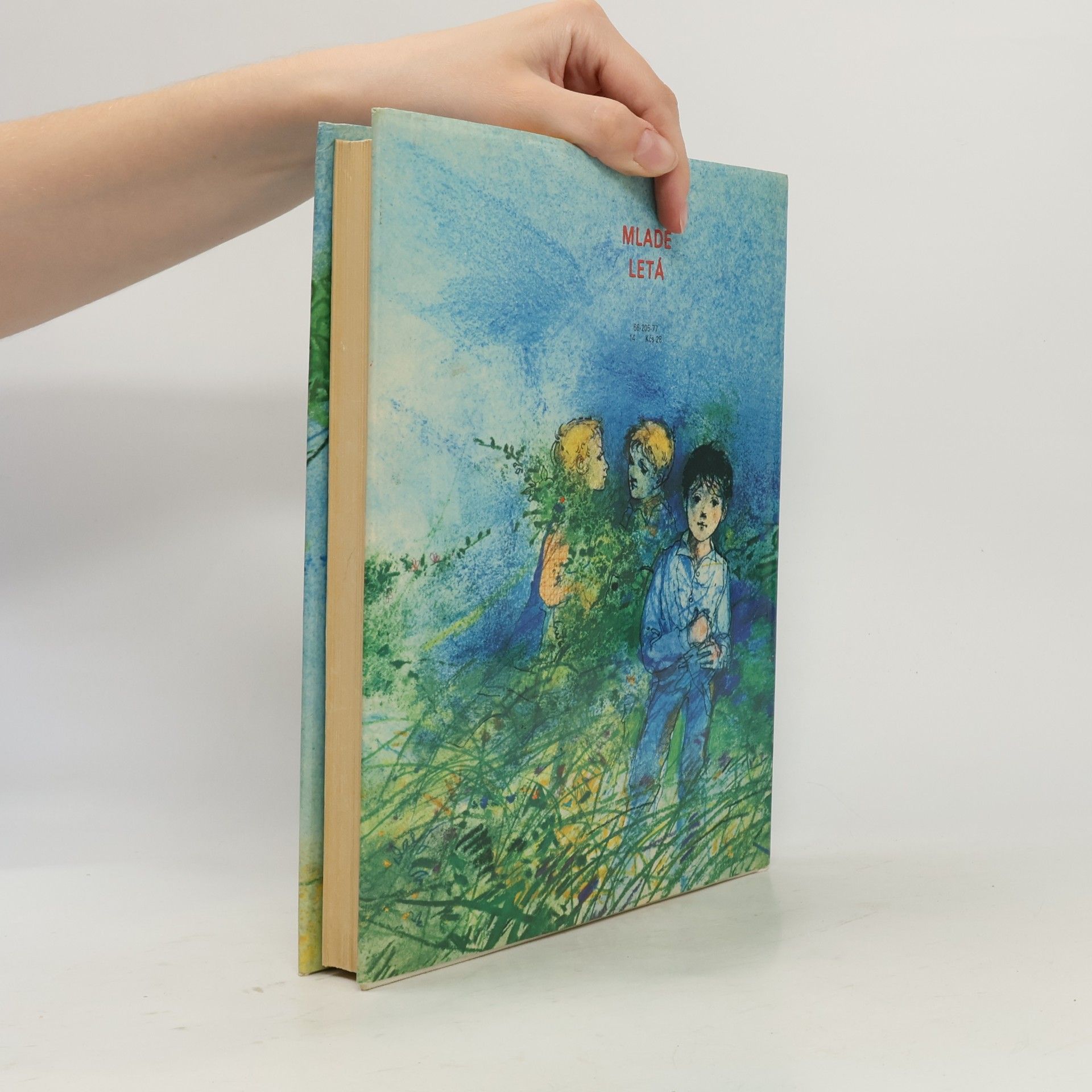 Collectif d'auteurs Vysoký oheň
