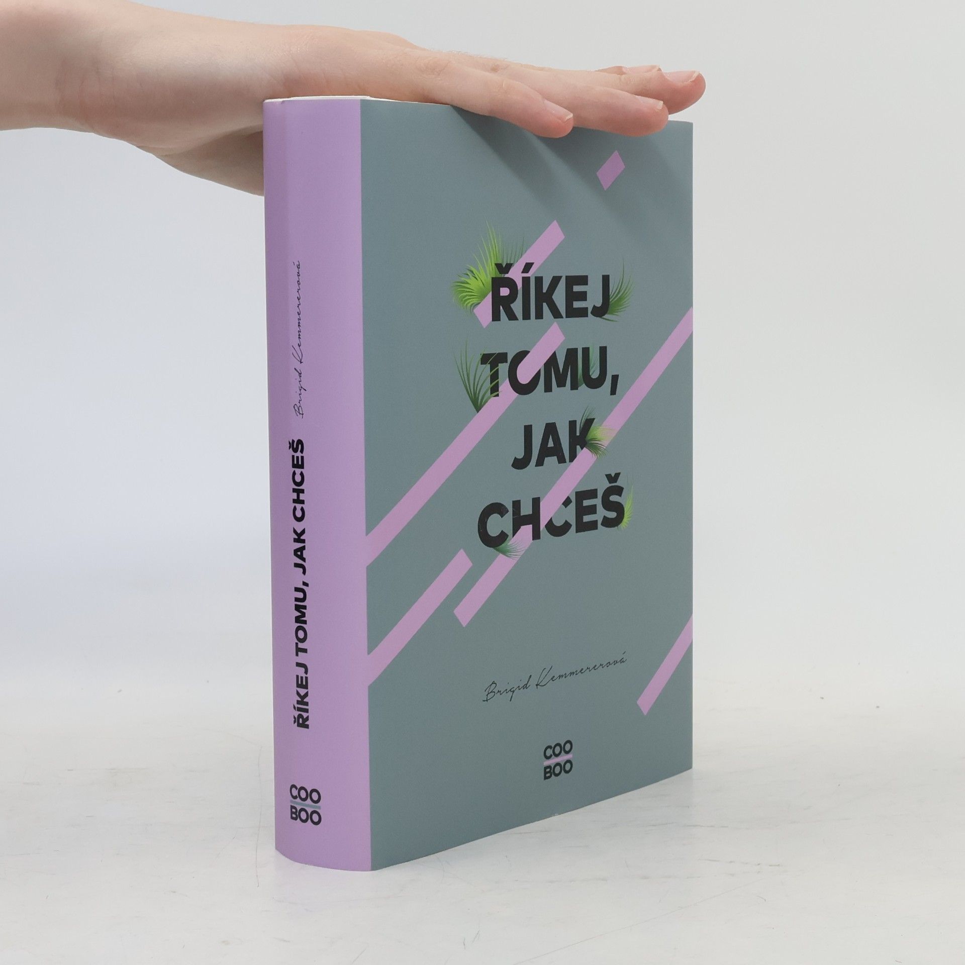 Brigid Kemmerer Říkej tomu, jak chceš