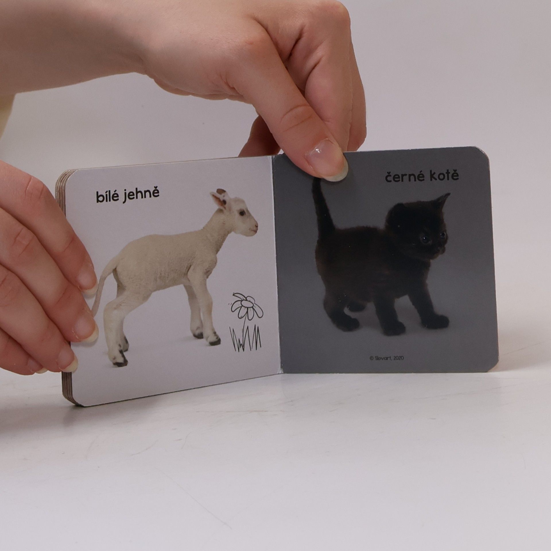 Kolektiv autorů Barvy