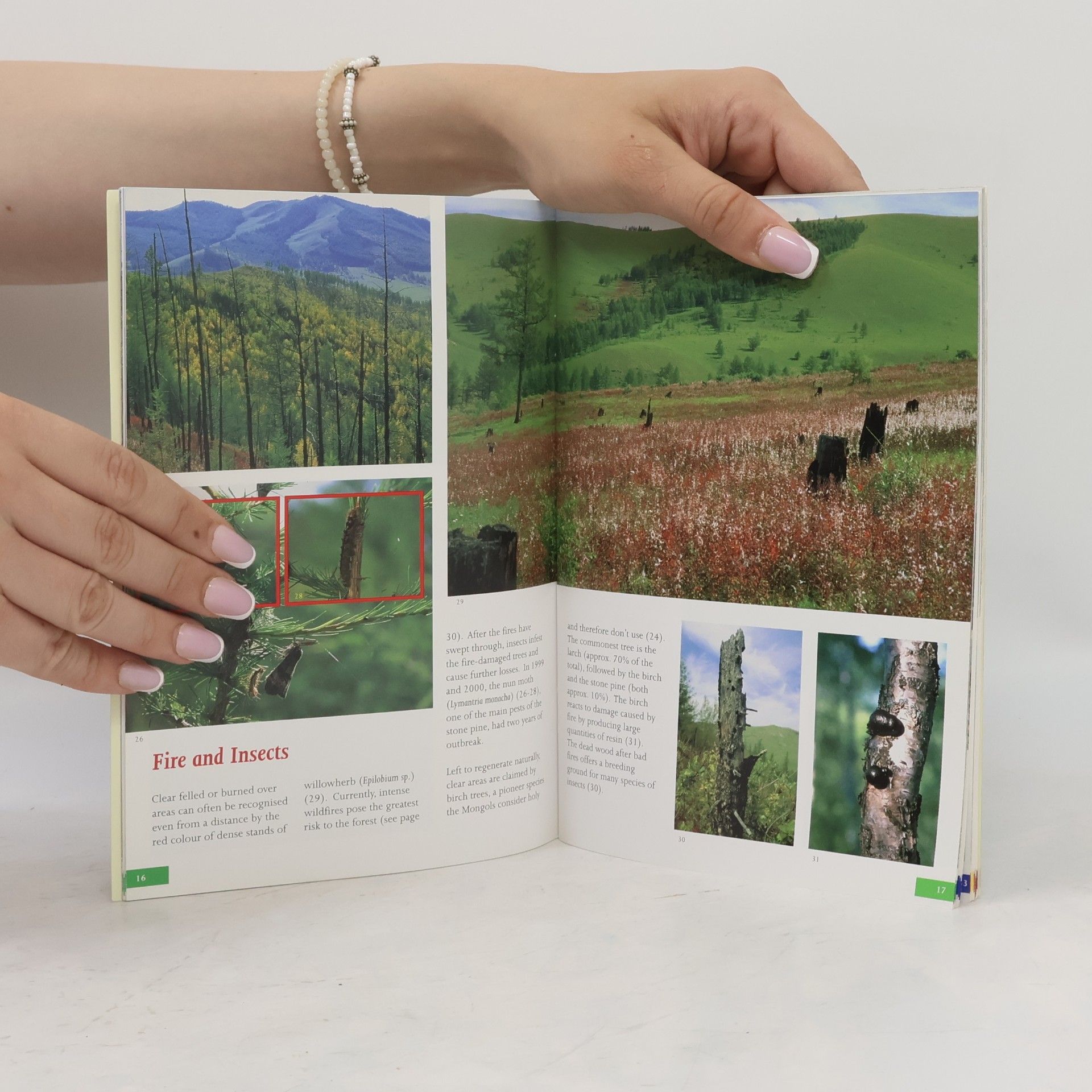 Bernd Steinhauer-Burkart Nature-Guide - 2: Gorkhi-Terelj National Park And Khan Khentee Strictly Protected Area - Eco-Nature Edition