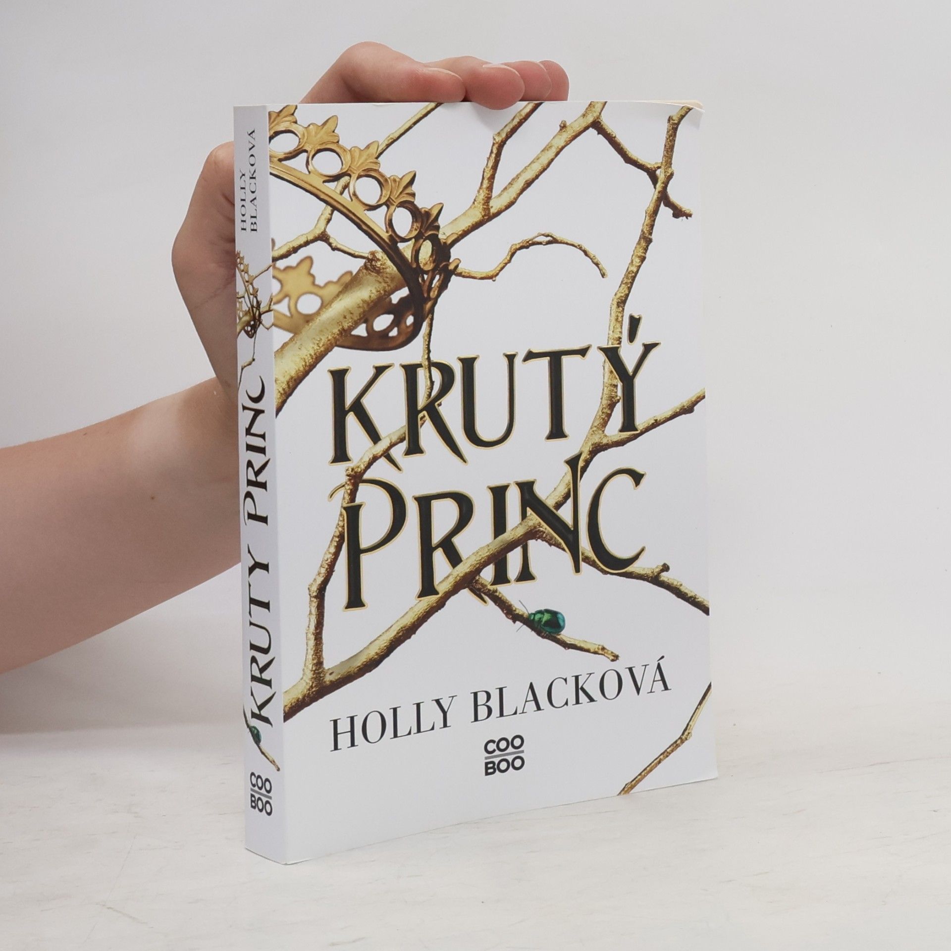 Holly Black Krutý princ