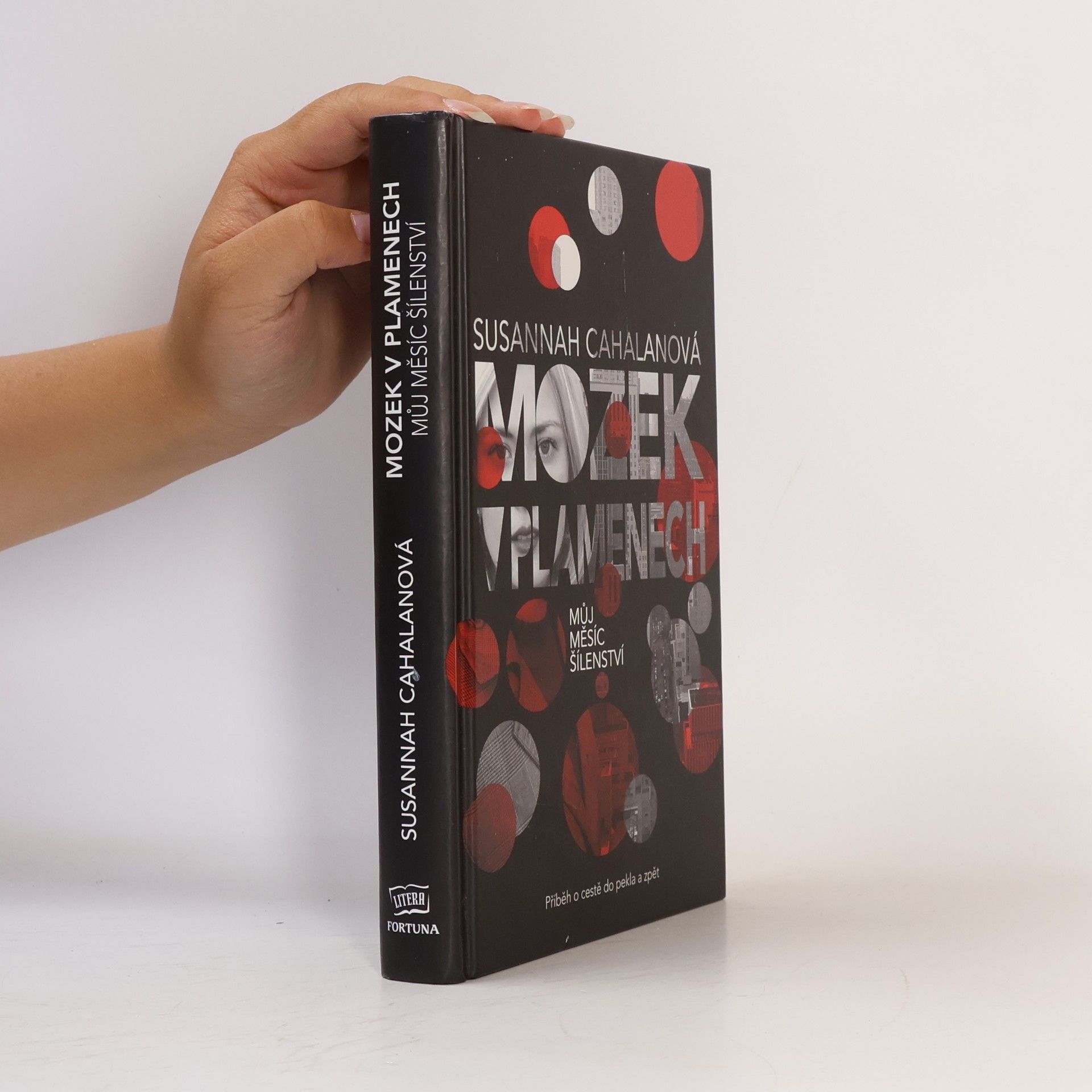 Susannah Cahalan Mozek v plamenech : můj měsíc šílenství