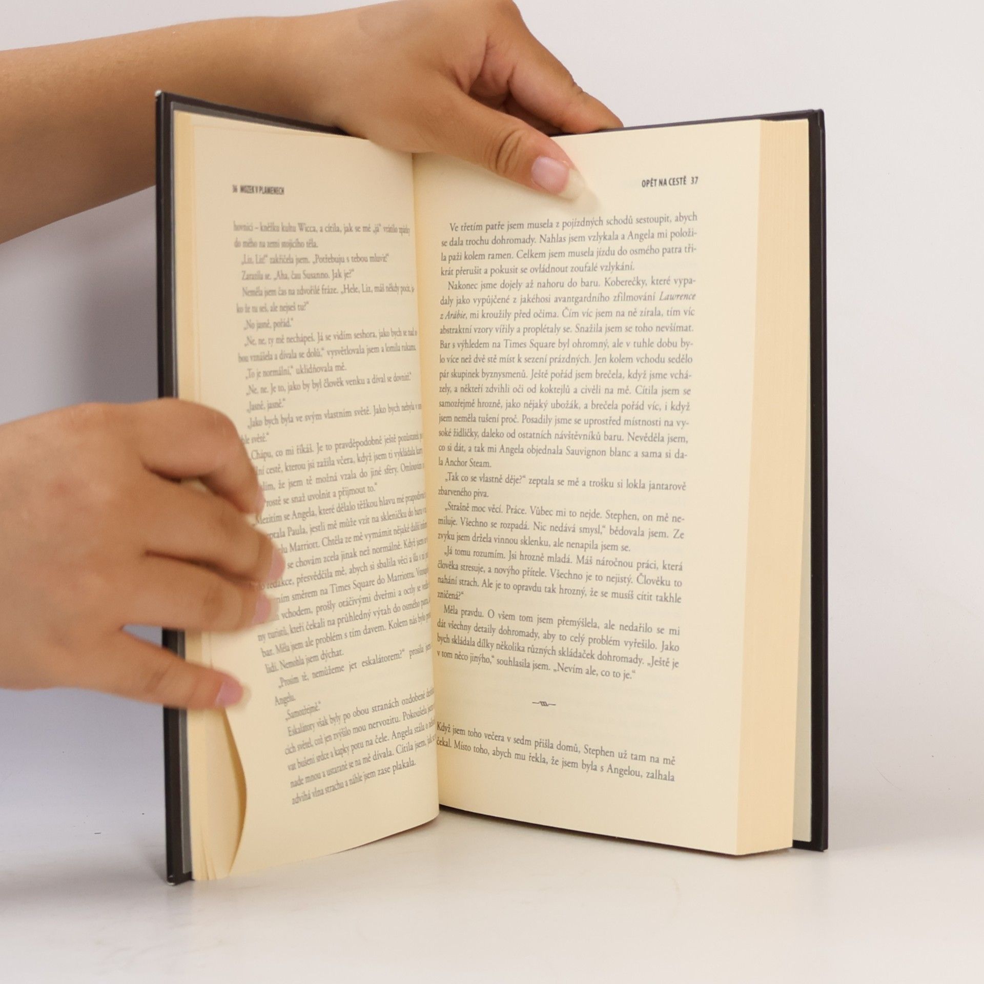 Susannah Cahalan Mozek v plamenech : můj měsíc šílenství