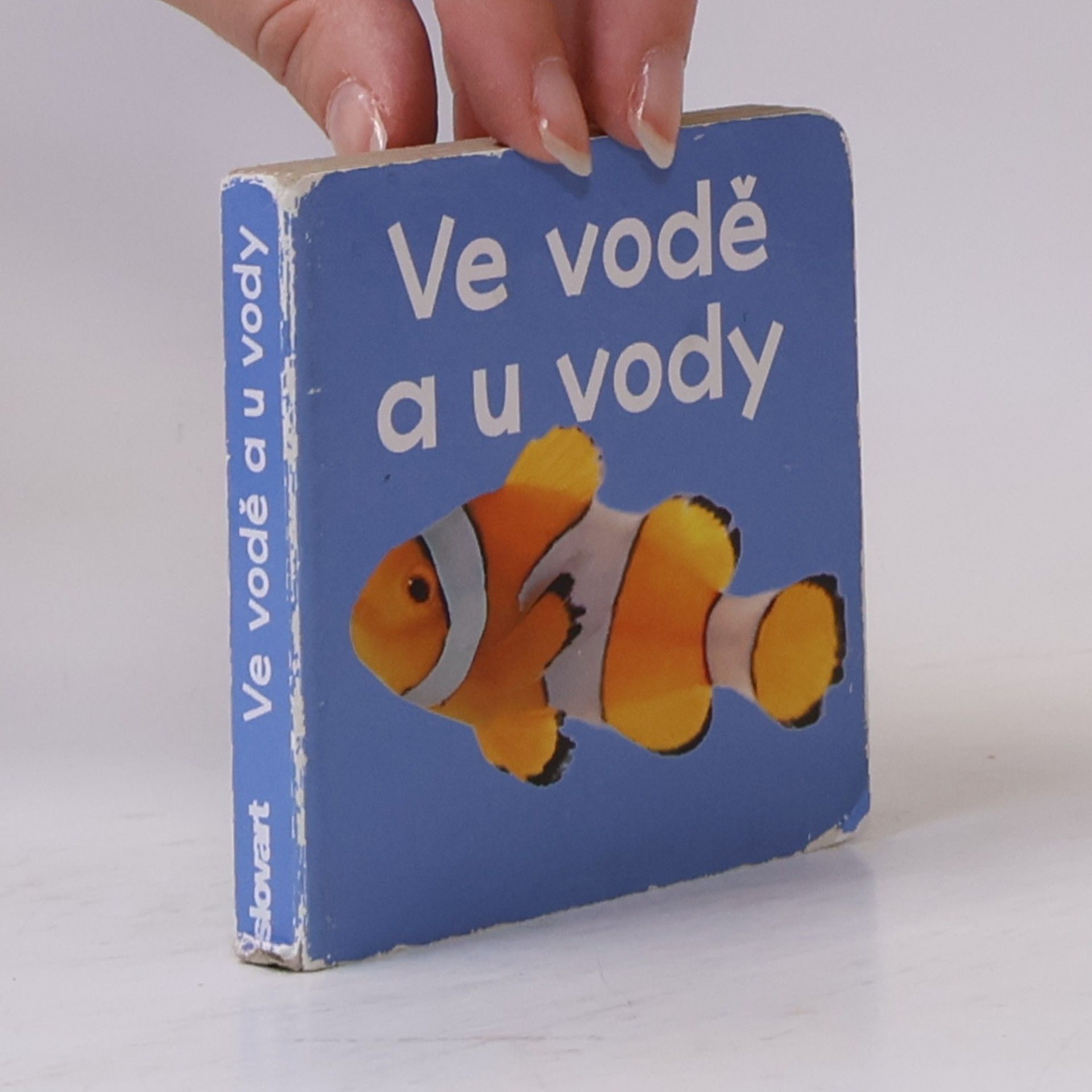 kolektiv Ve vodě a u vody