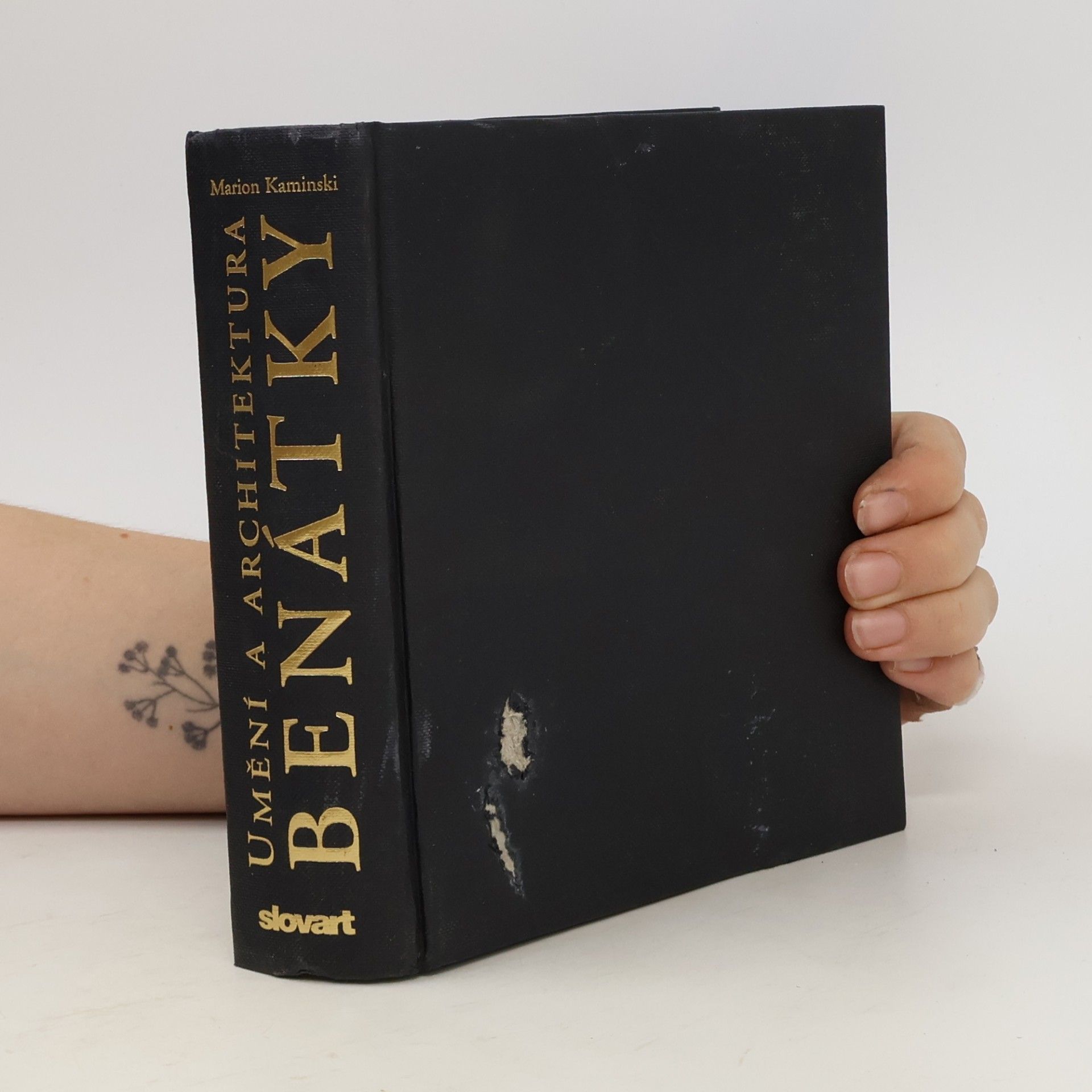 Marion Kaminski Benátky. Umění a architektura