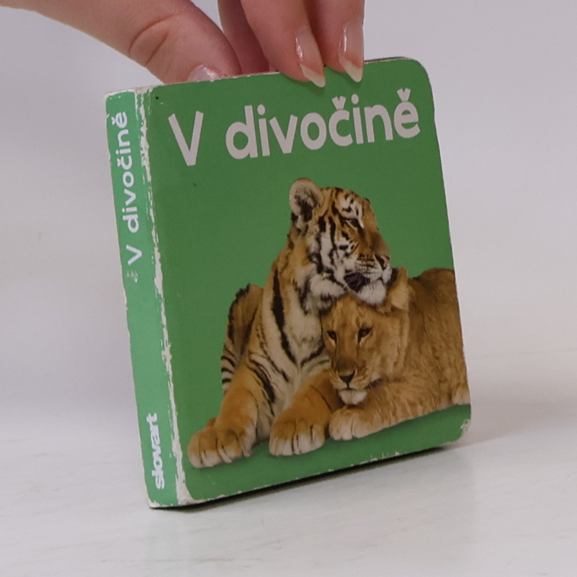 Kolektiv autorů V divočině