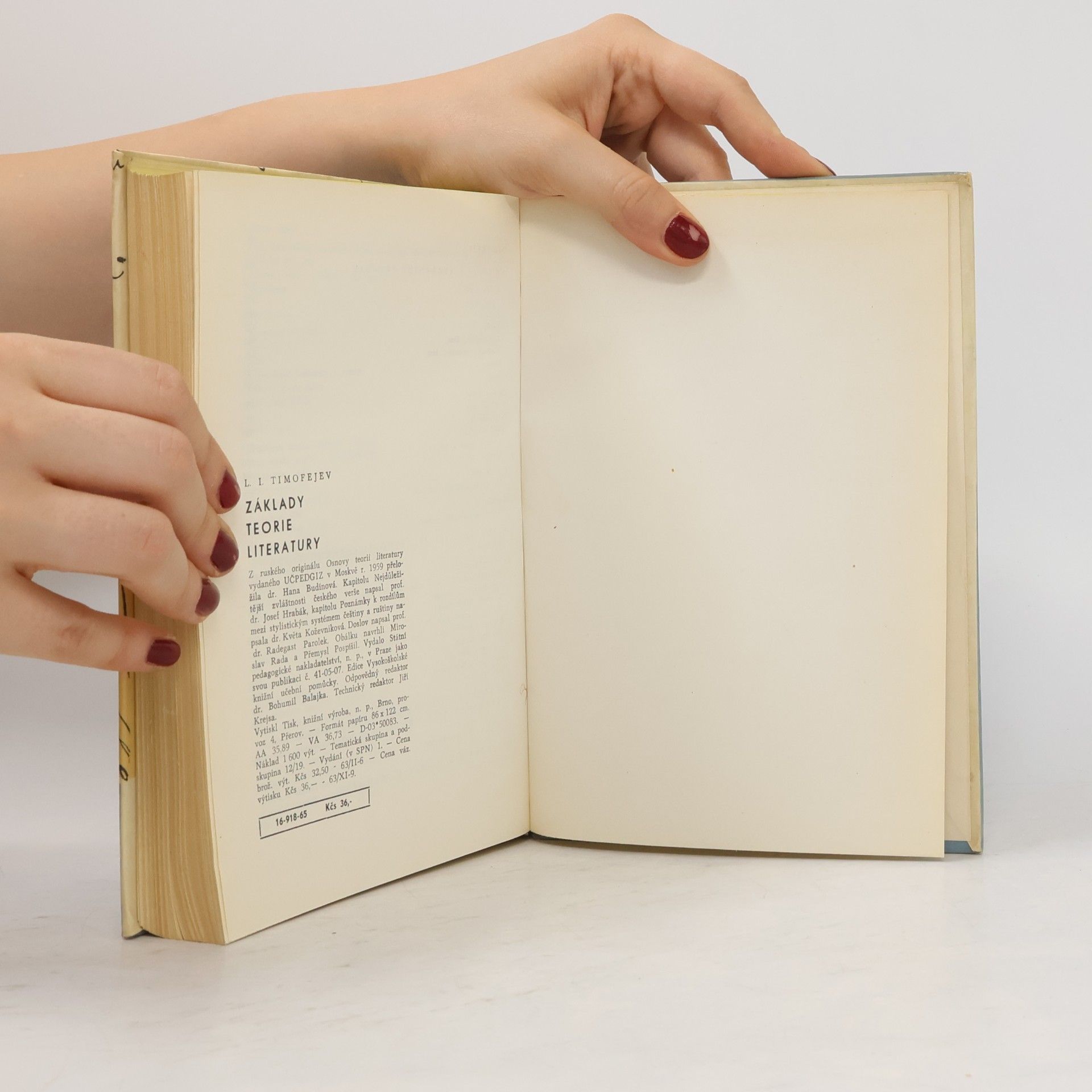 Leonid Ivanovič Timofejev Základy teorie literatury