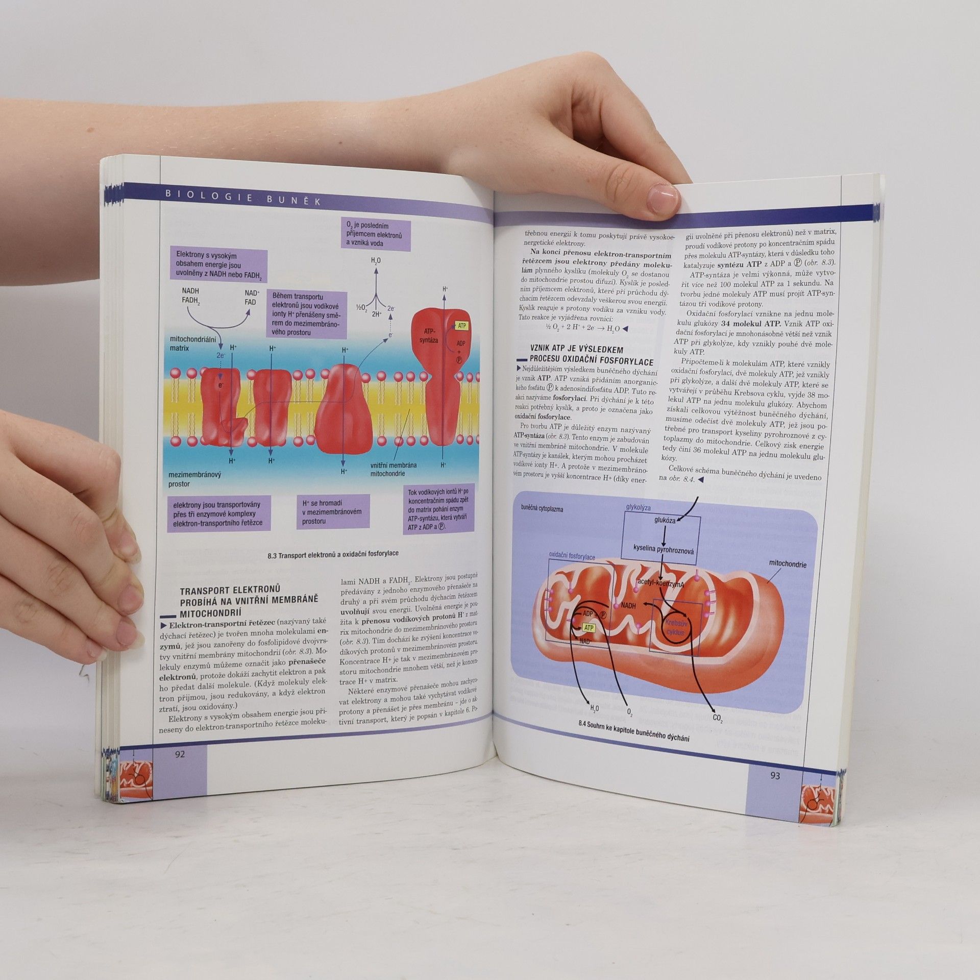 Radka Závodská Biologie buněk: Základy cytologie, bakteriologie, virologie