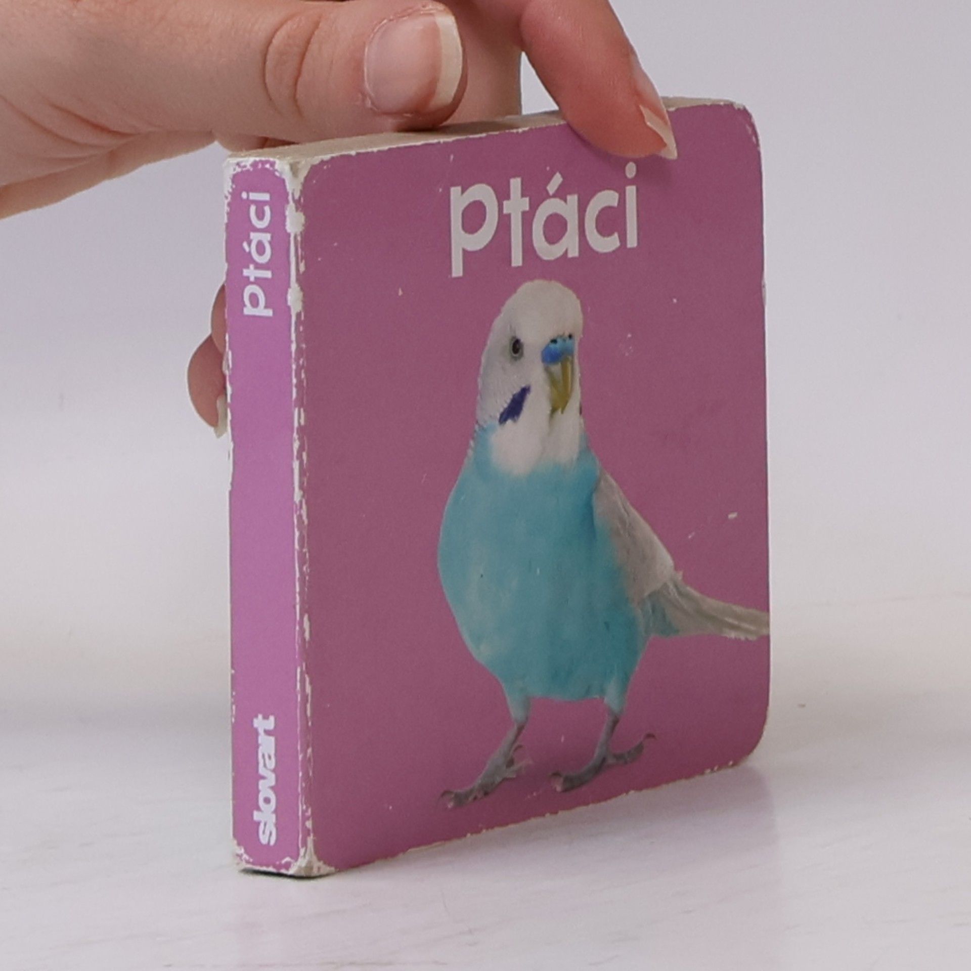 Kolektiv autorů Ptáci