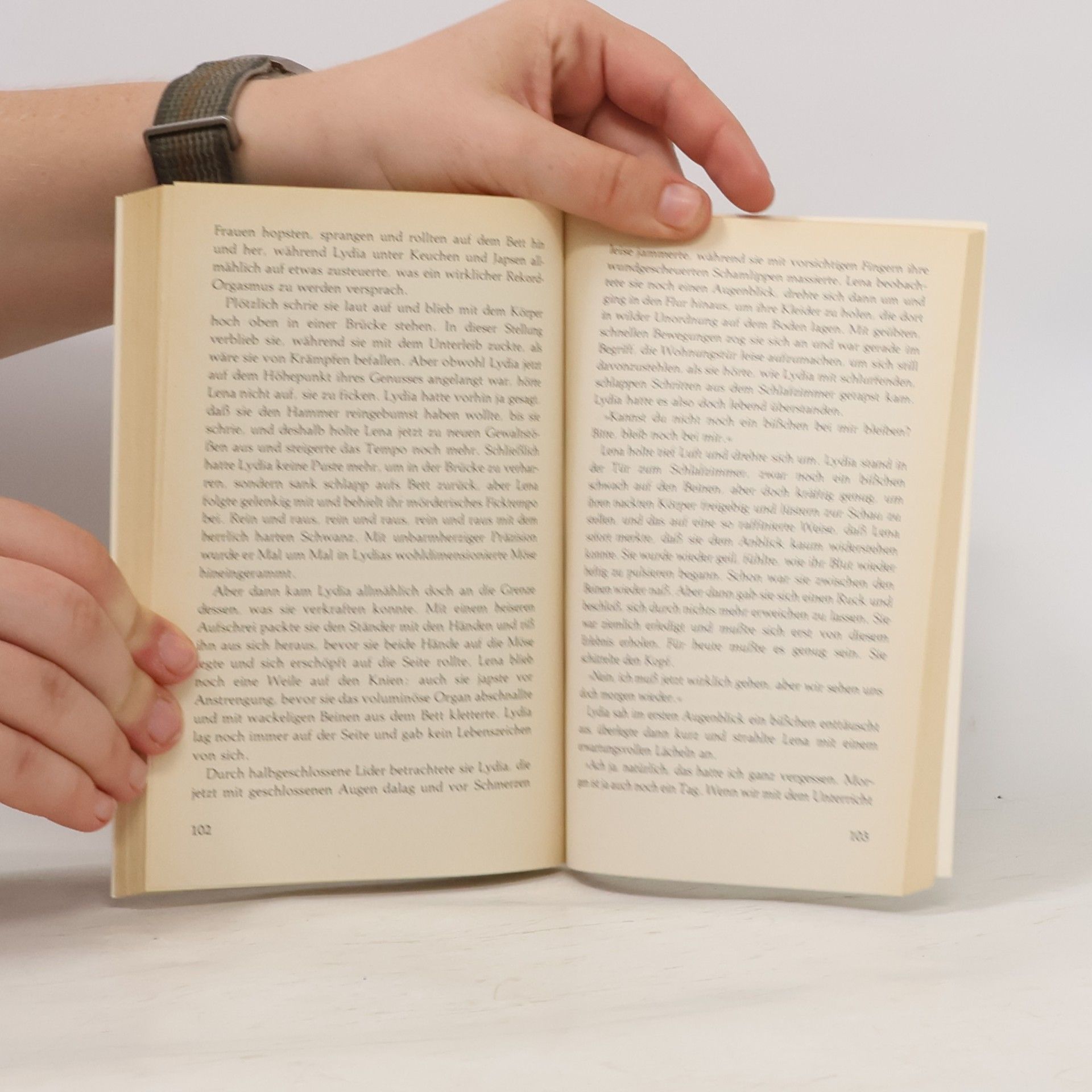 Autorenkollektiv Das Jungmädchenbett
