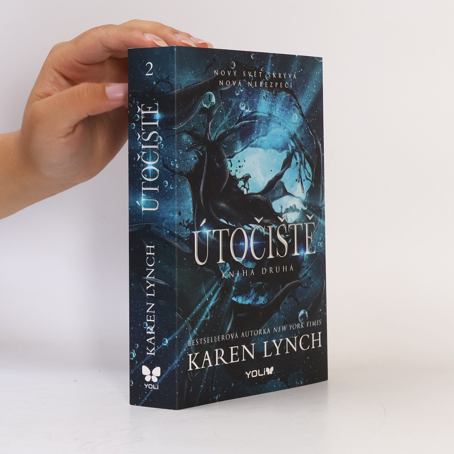 Karen Lynch Útočiště