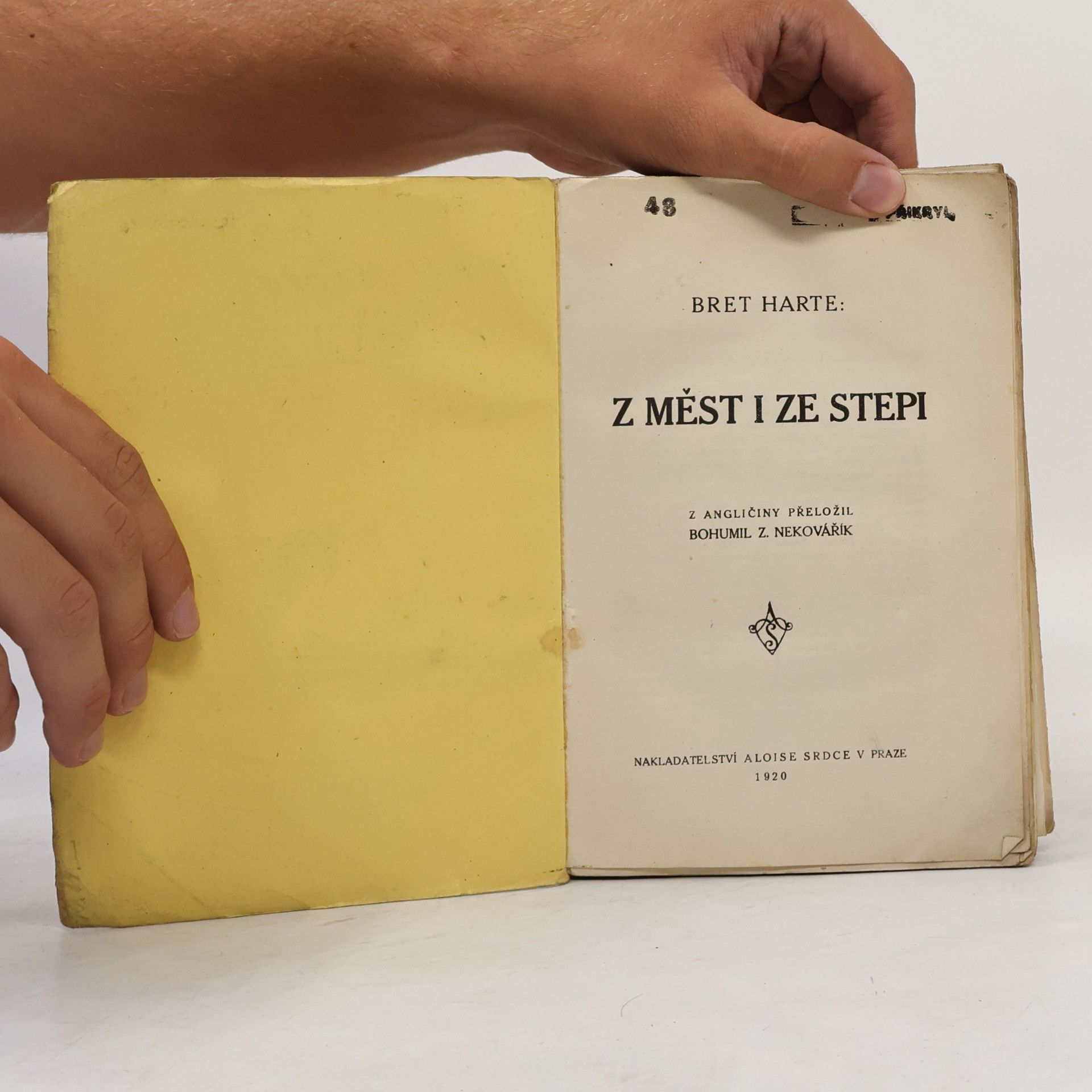 Bret Harte Z měst i ze stepi