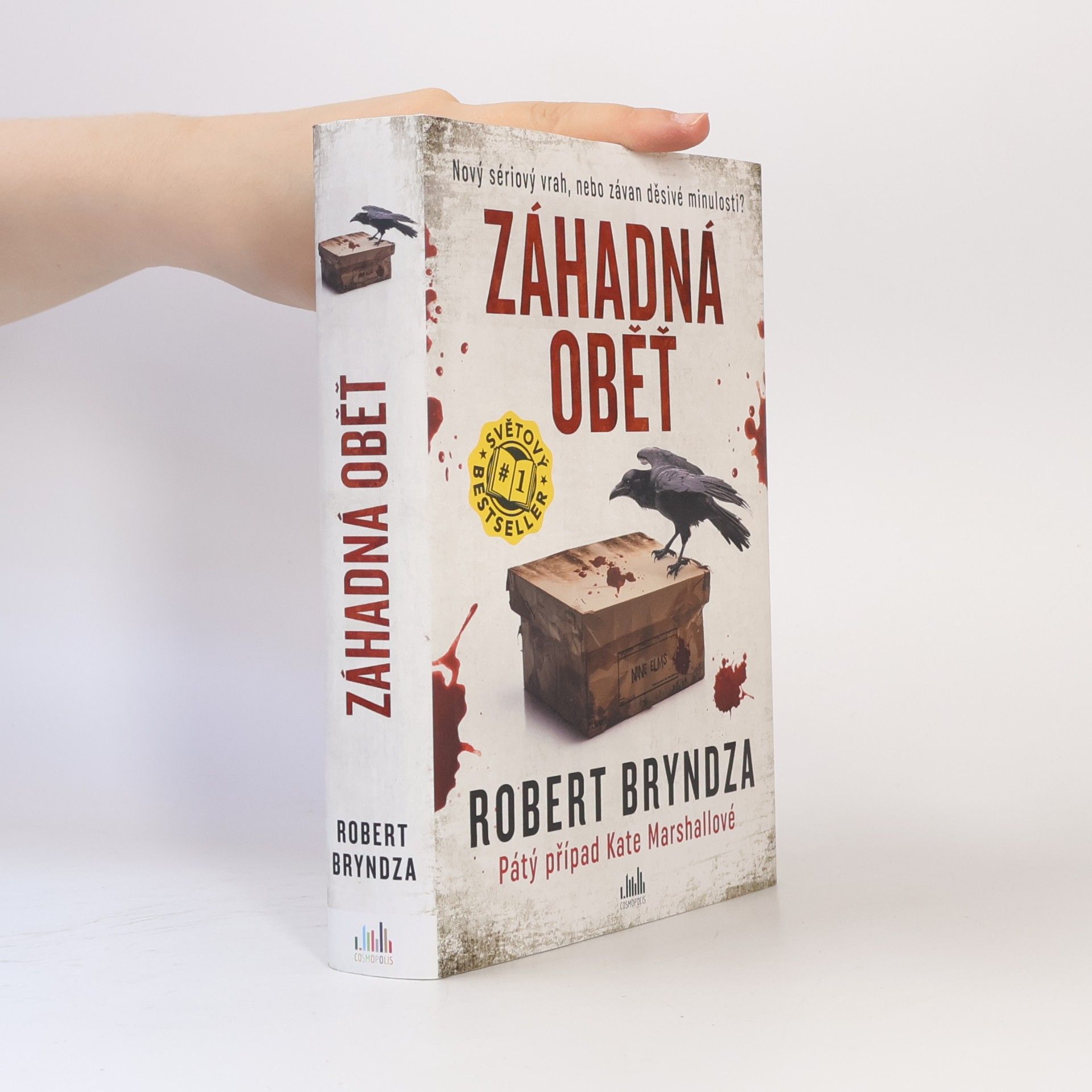 Robert Bryndza Záhadná oběť