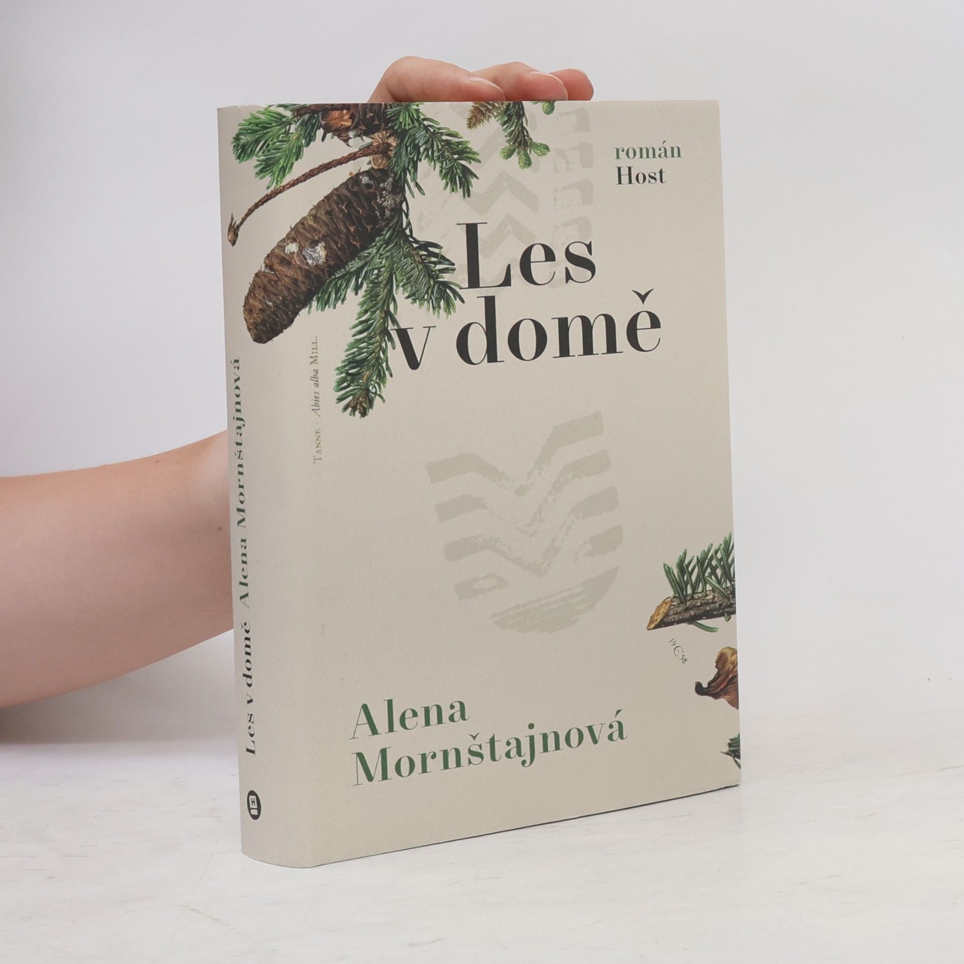 Alena Mornštajnová Les v domě