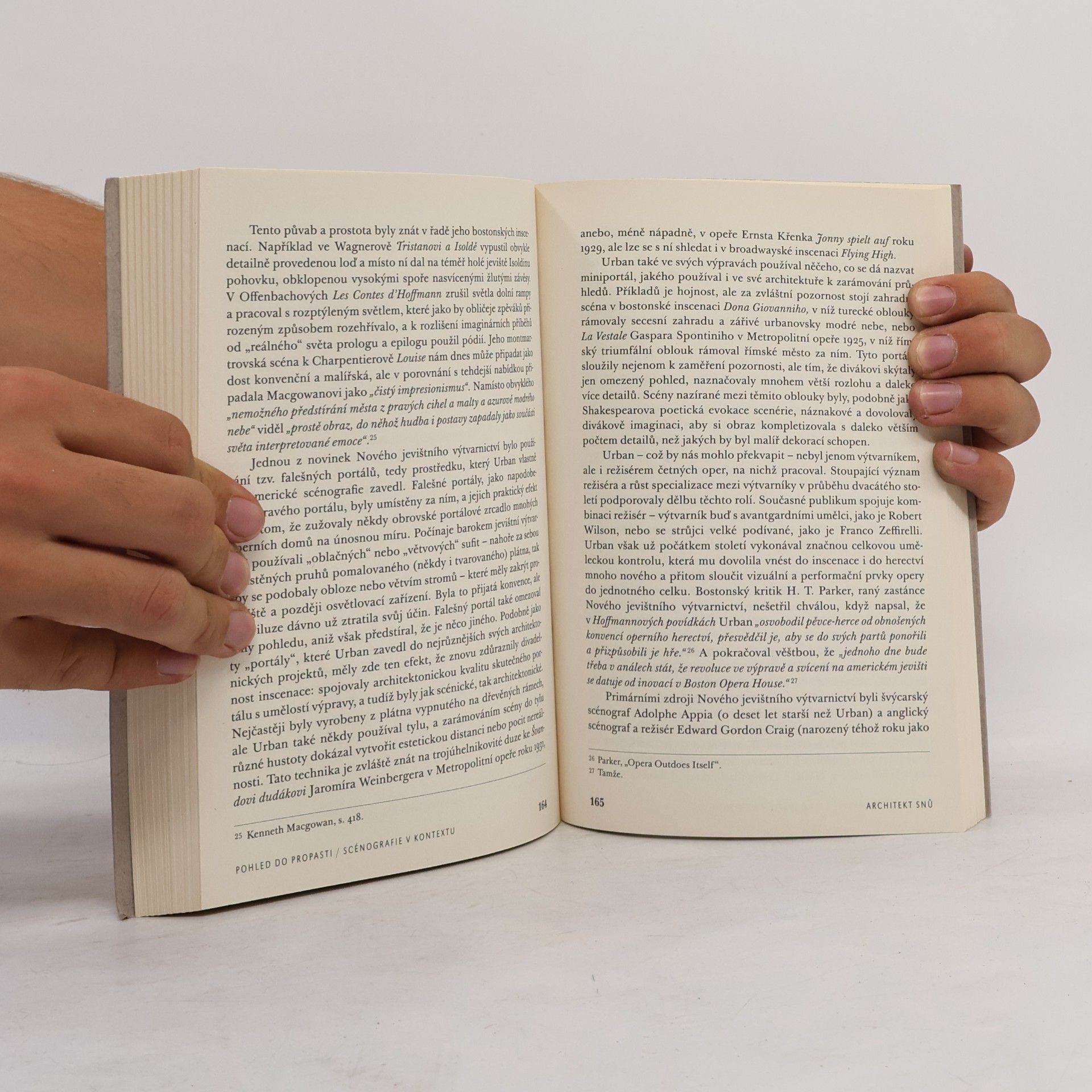 Arnold Aronson Pohled do propasti - Eseje o scénografii