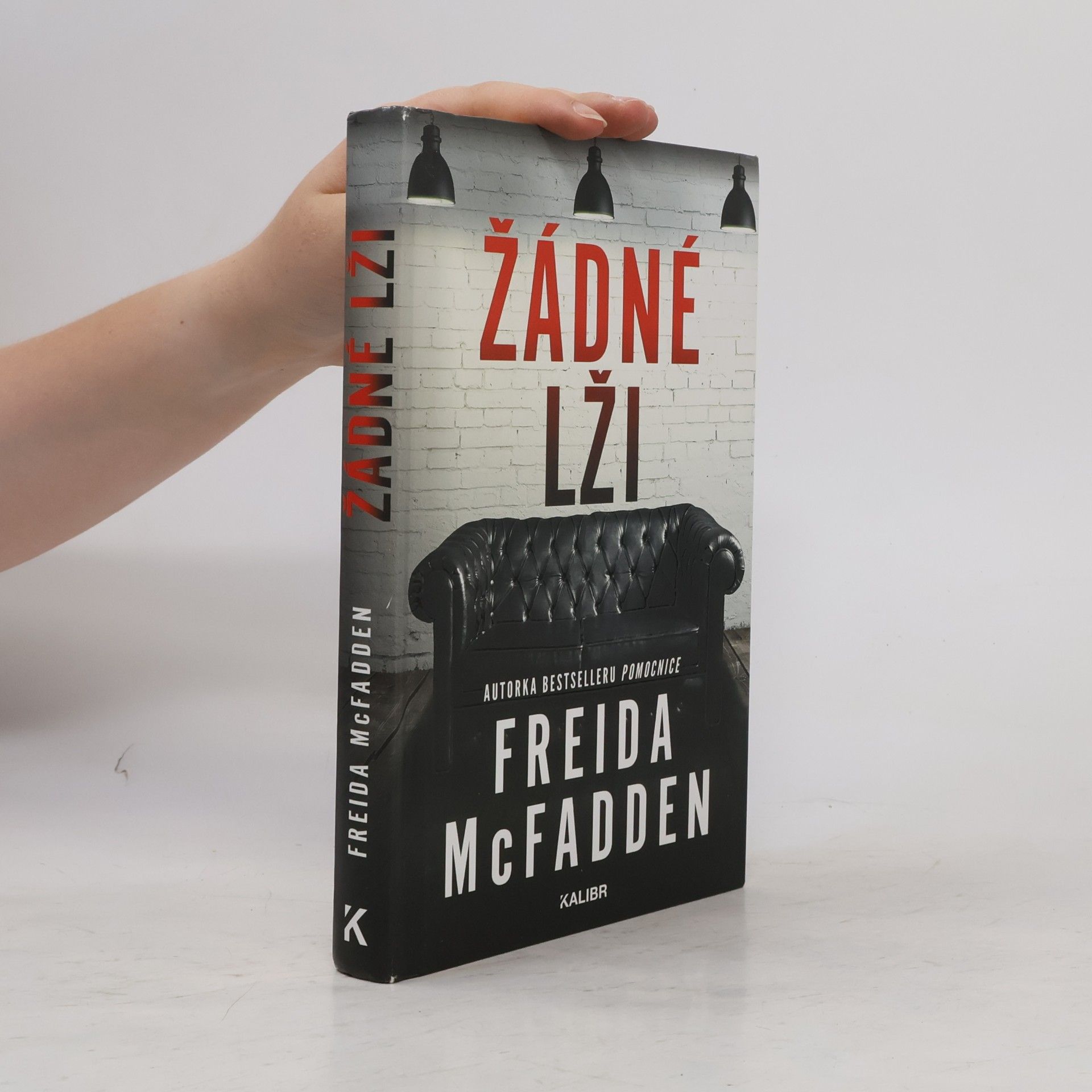 Freida McFadden Žádné lži