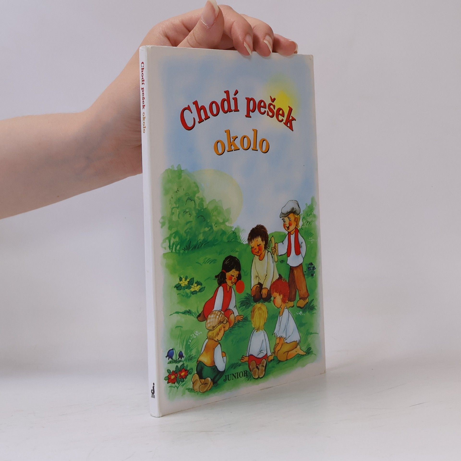 Chodí pešek okolo (leporelo)