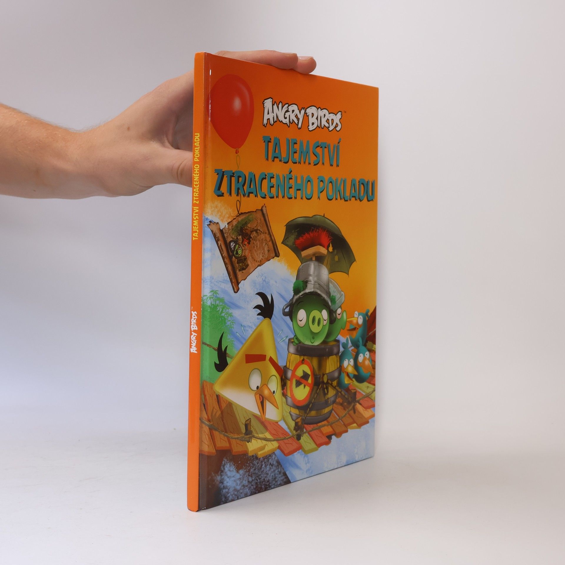 Jari Rasi Angry Birds. Tajemství ztraceného pokladu
