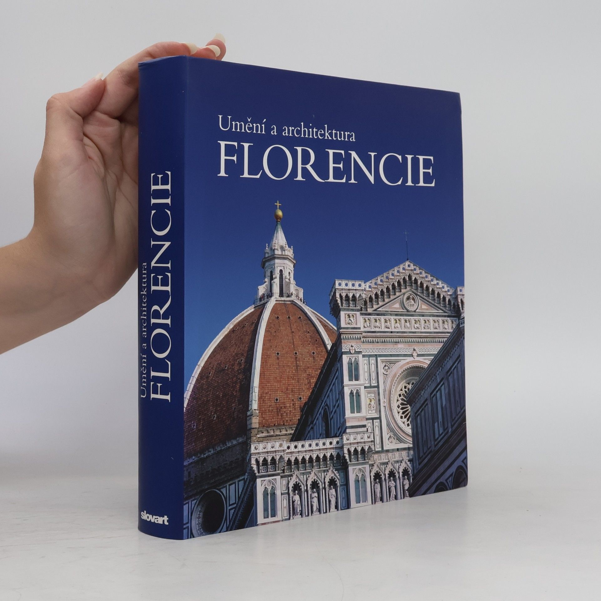 Silvestra Bietoletti Umění a architektura Florencie
