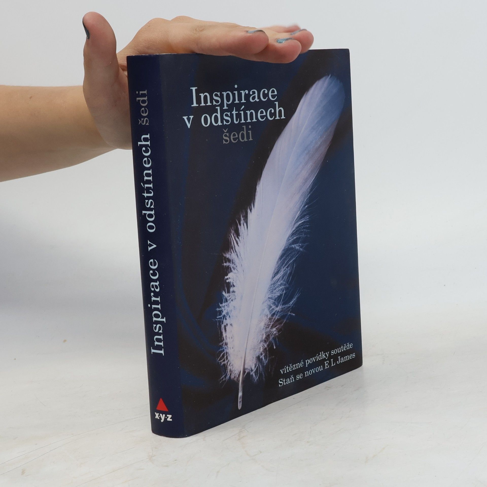 Autorenkollektiv Inspirace v odstínech šedi - Vítězné povídky soutěže Staň se novou E L James
