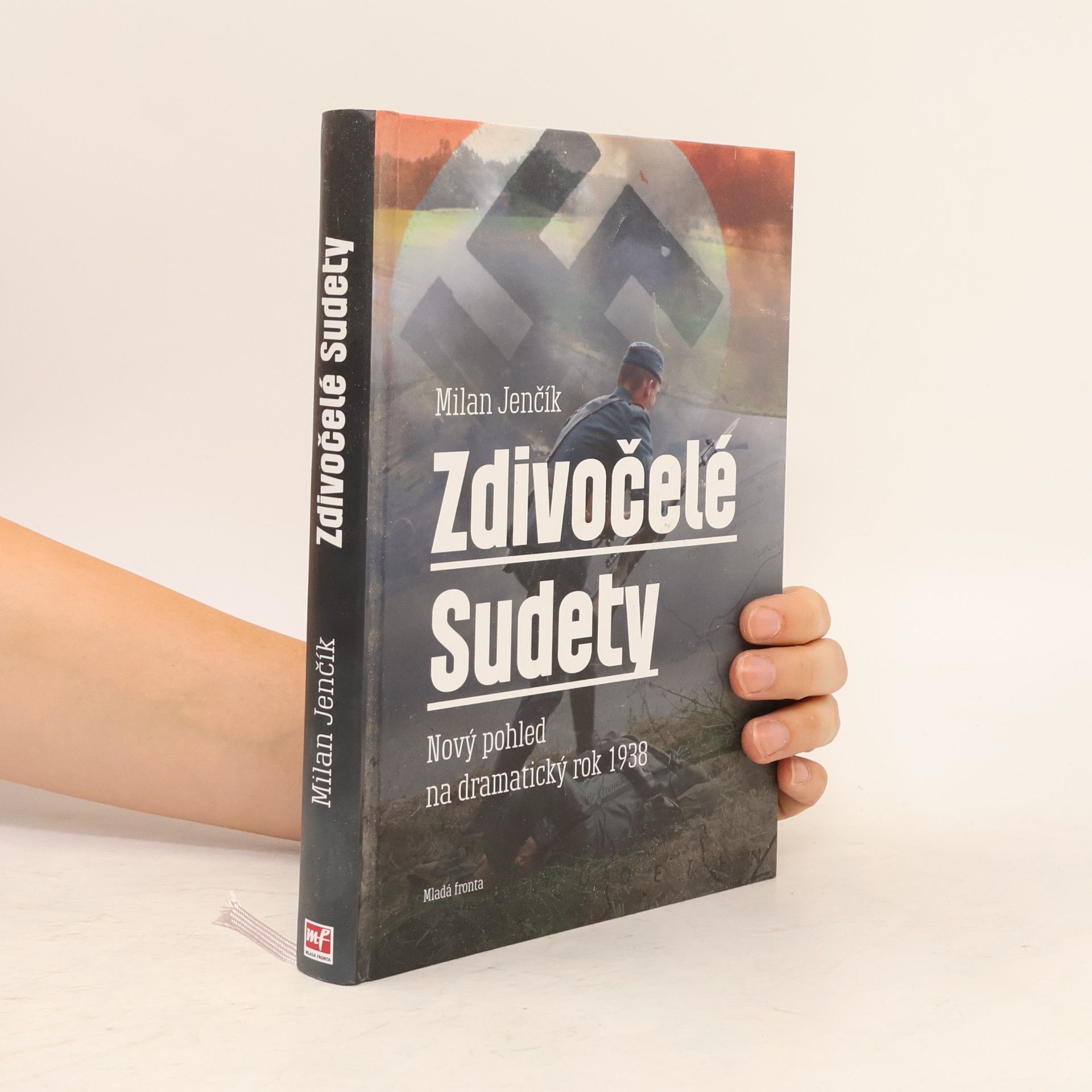 Zdivočelé Sudety. Nový pohled na dramatický rok 1938