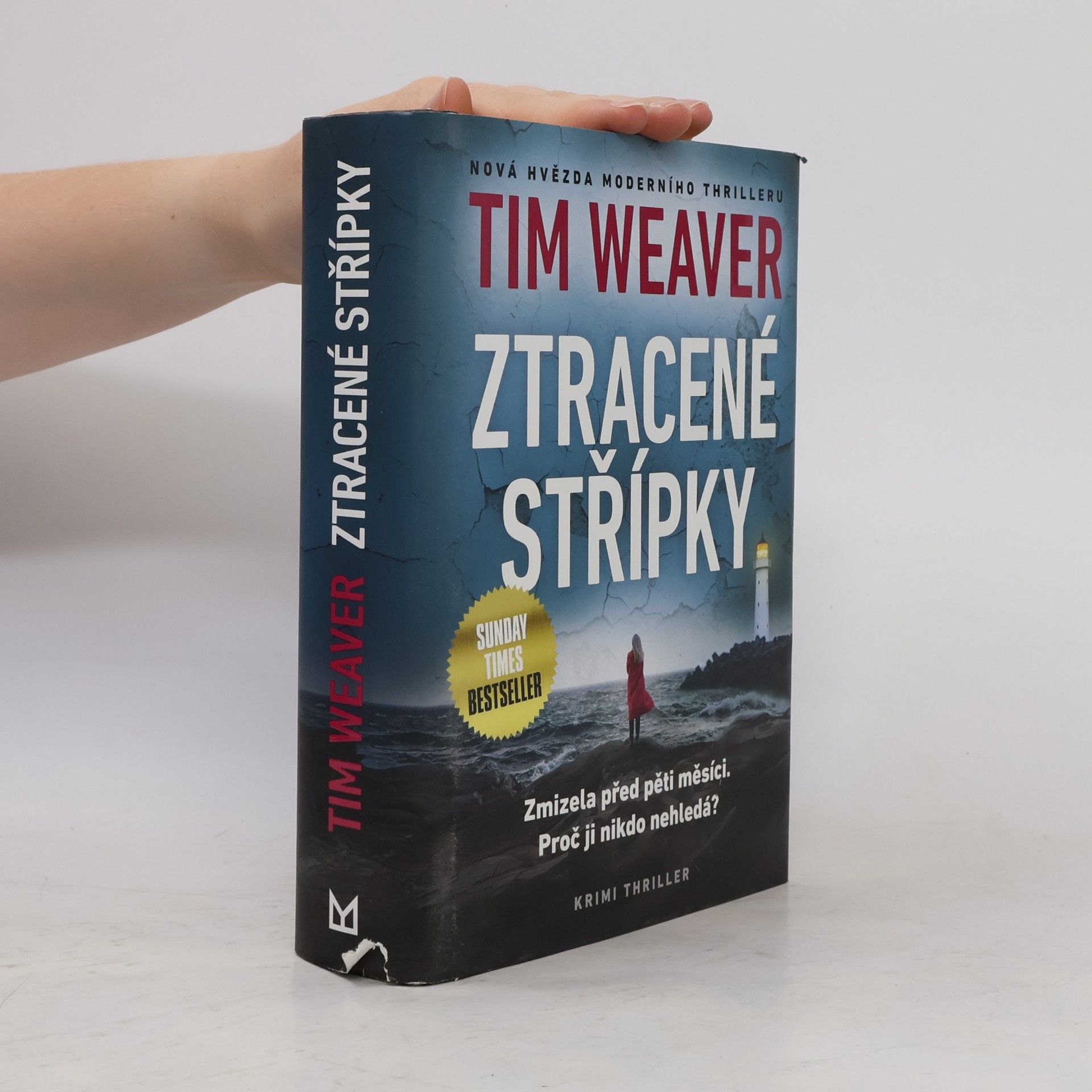 Tim Weaver Ztracené střípky