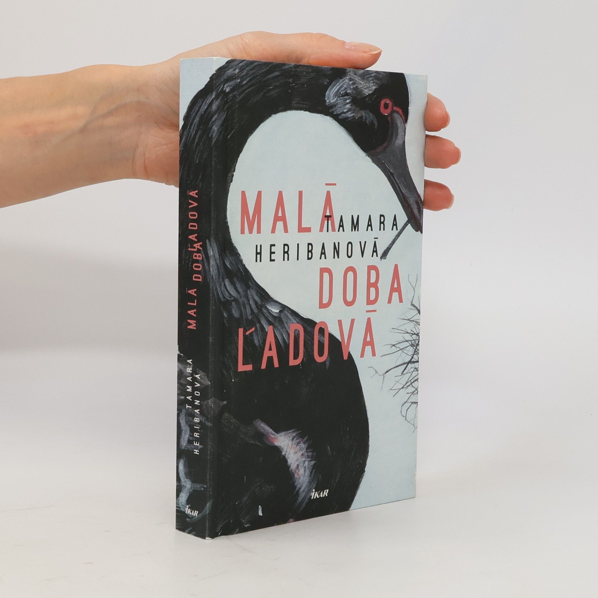 Tamara Heribanová Malá doba ľadová