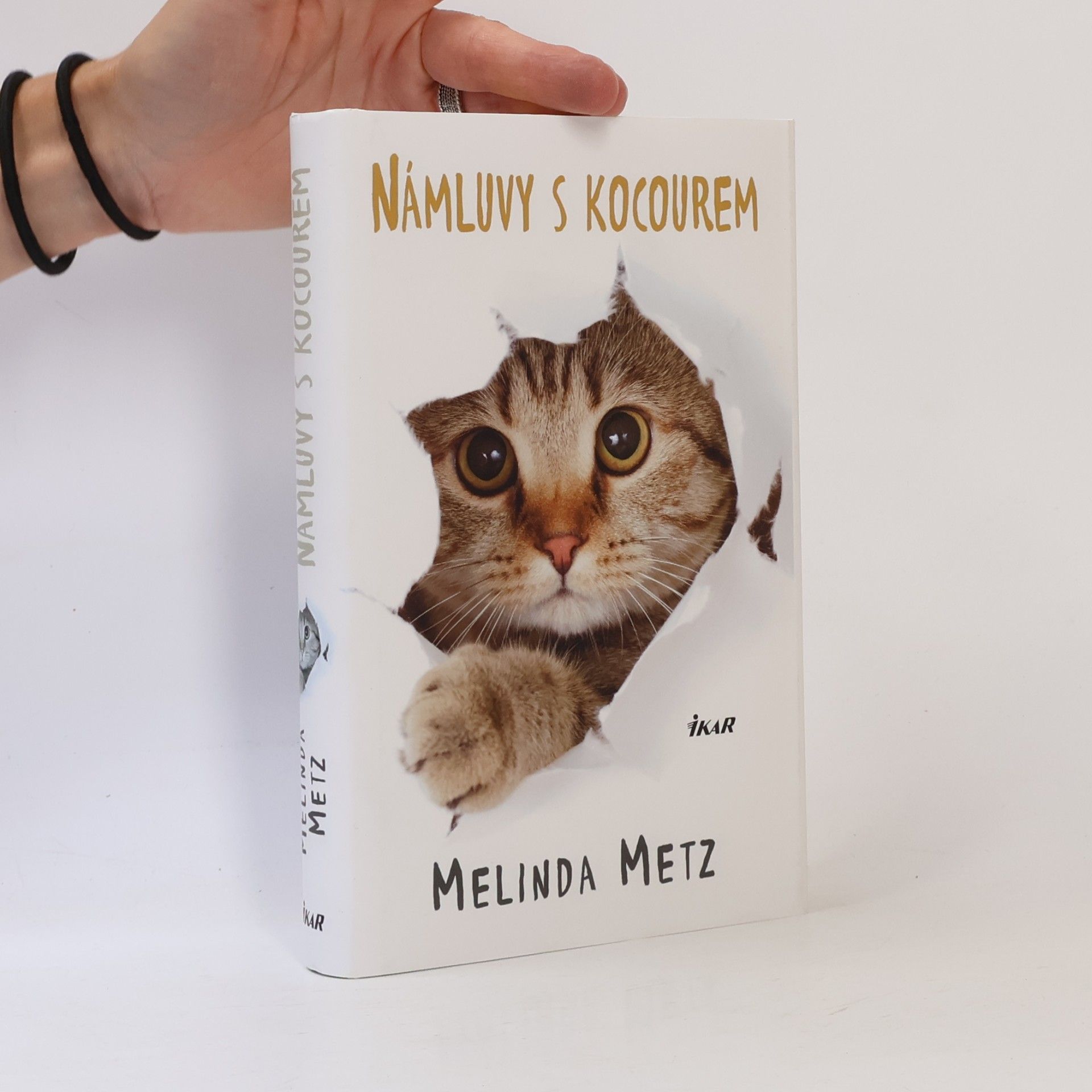 Melinda Metz Námluvy s kocourem