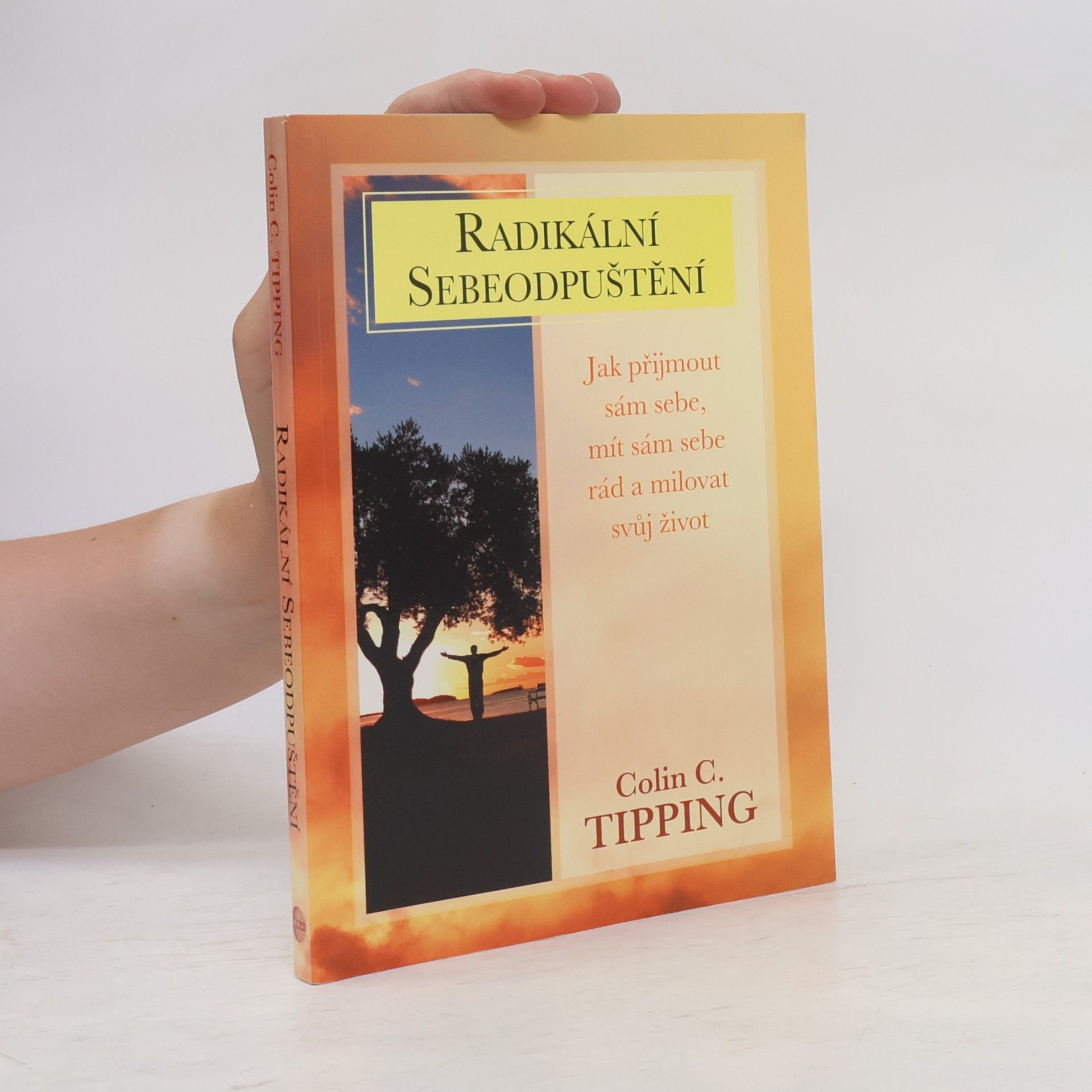 Colin C. Tipping Radikální sebeodpuštění