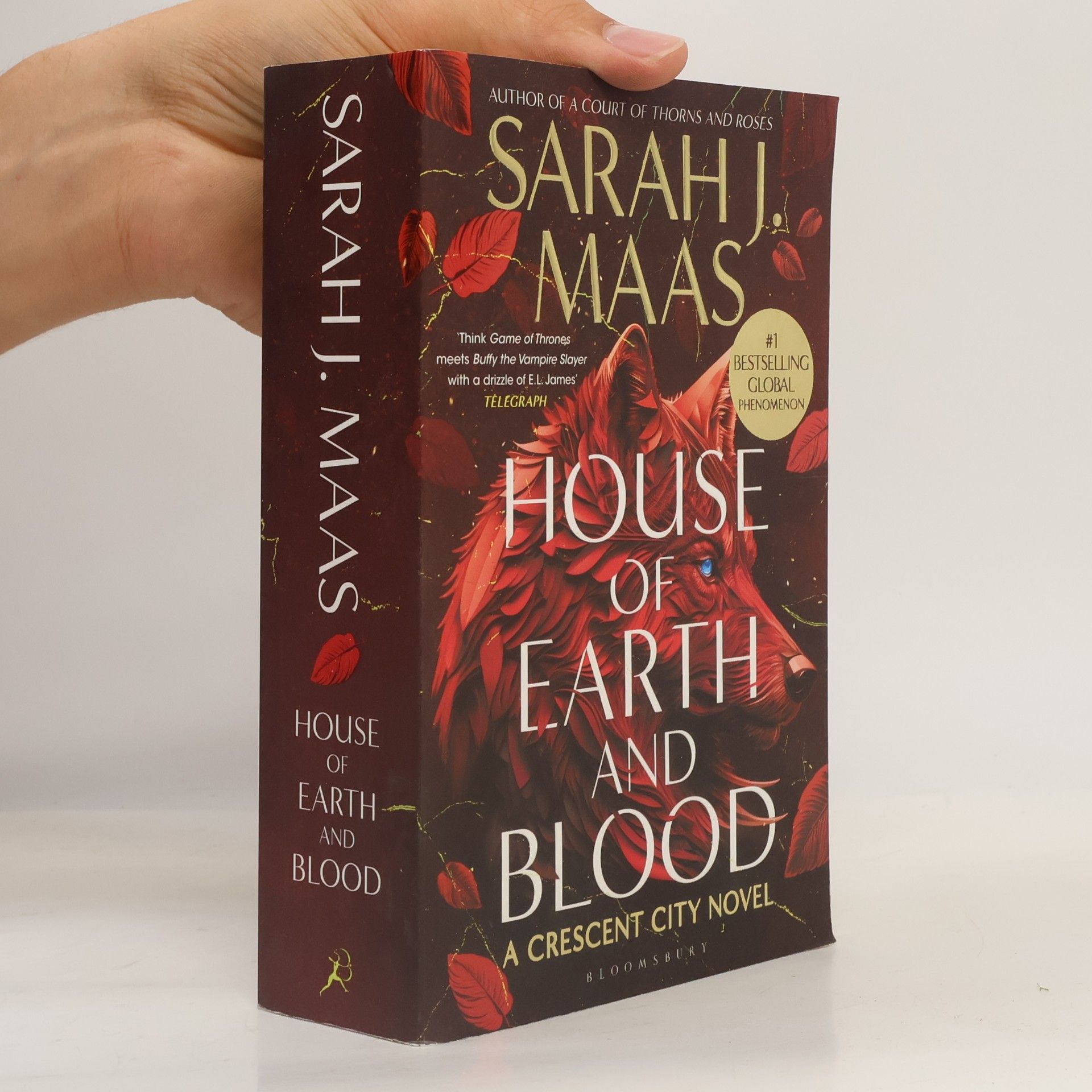 Sarah J. Maas House of Earth and Blood