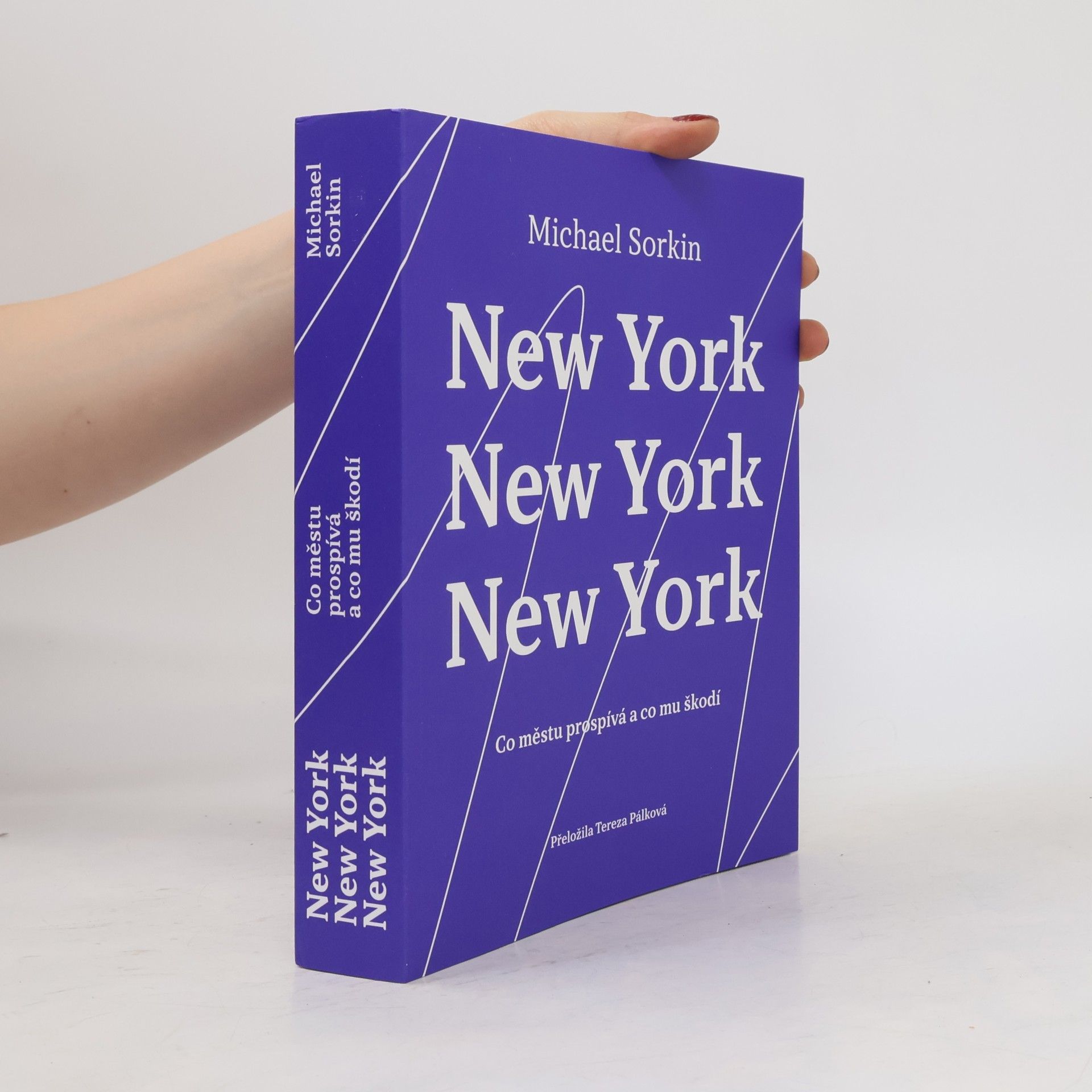 Michael Sorkin New York, New York, New York