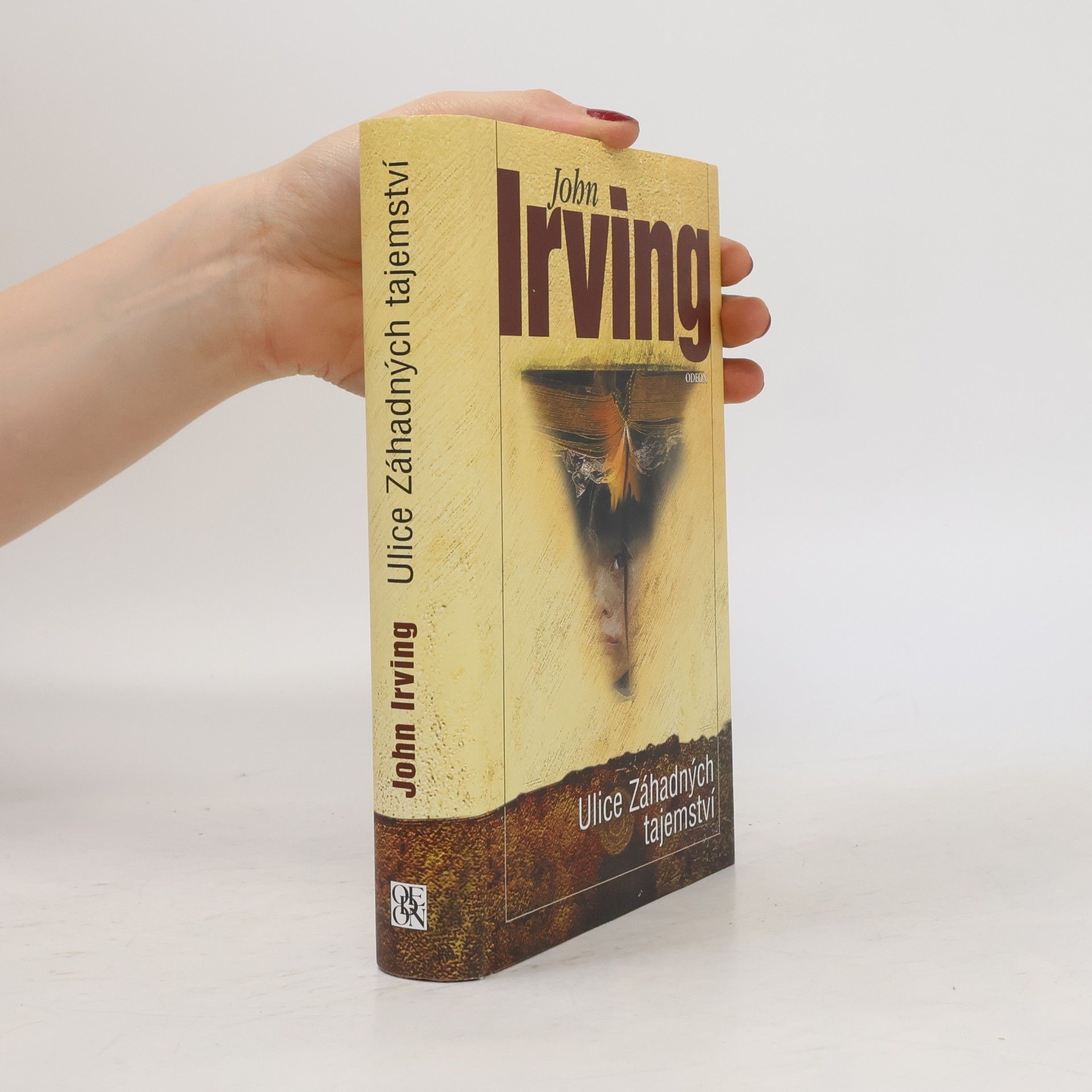 John Irving Ulice Záhadných tajemství