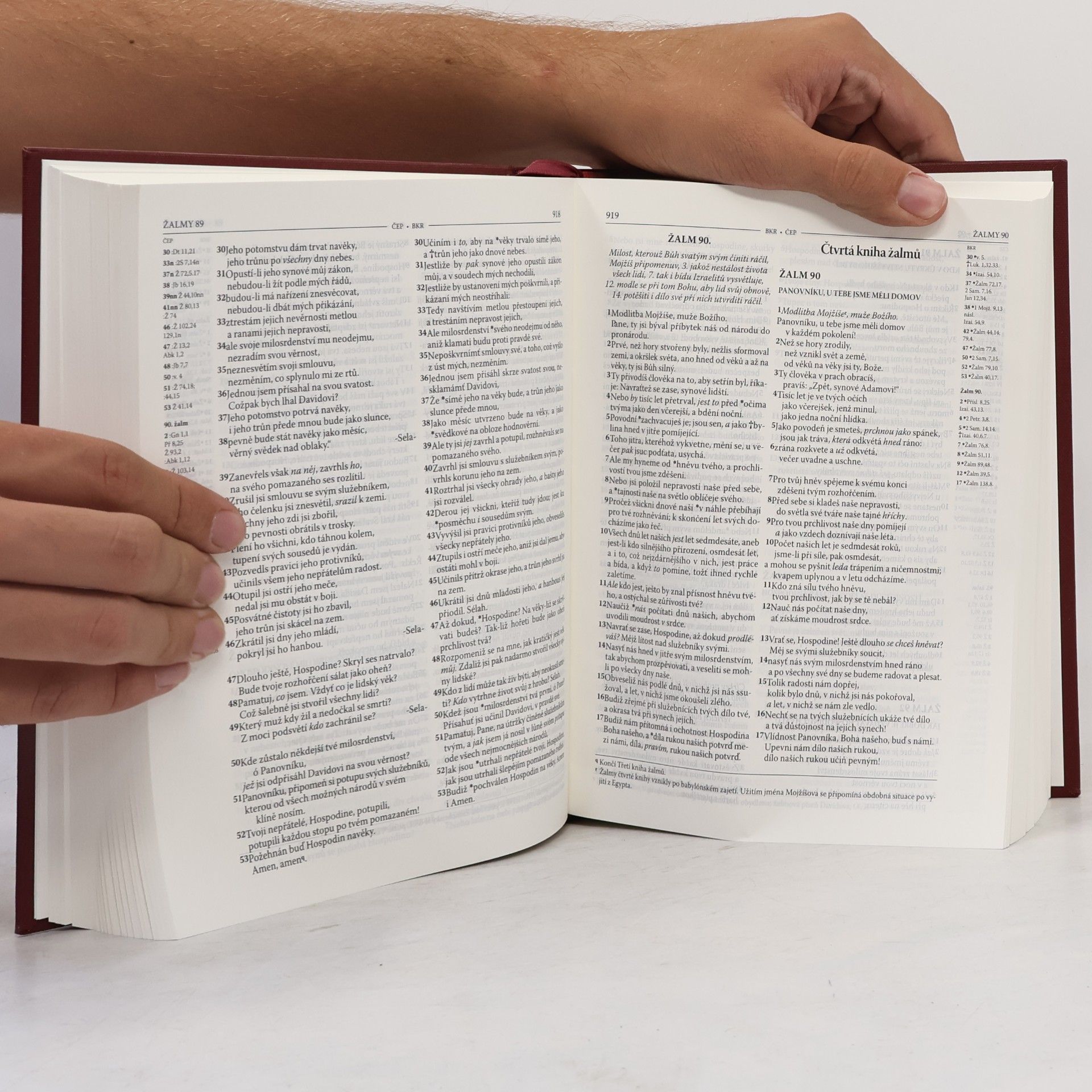 Miloš Bič Bible : český ekumenický překlad