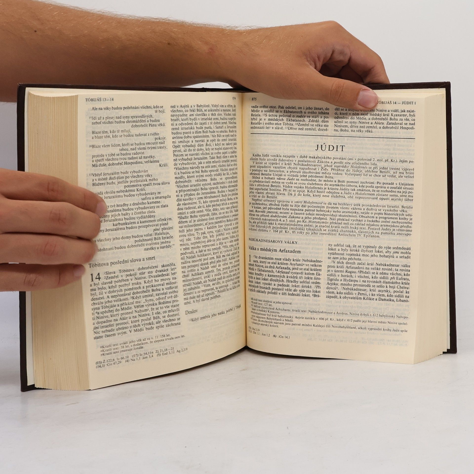Various authors Bible. Písmo svaté Starého a Nového Zákona. Ekumenický překlad